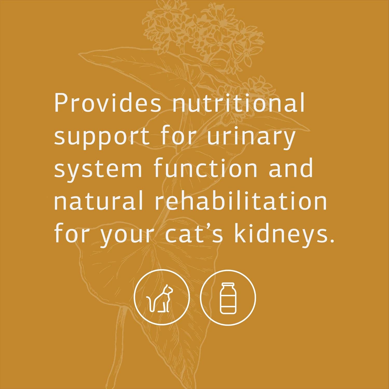 Feline Vitality Bundle: Whole Food Supplement Kit for Cats - Supports Immune & Urinary Health