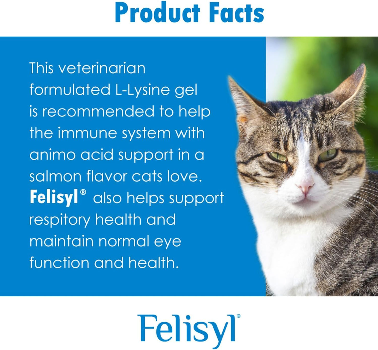 Felisyl Immune System Support Soft Chews for Cats - L-Lysine Amino Acid - Promotes Antibody Production - Supports Healthy Tissue, Respiratory Health, and Vision - Chicken Flavored - 180 Chews