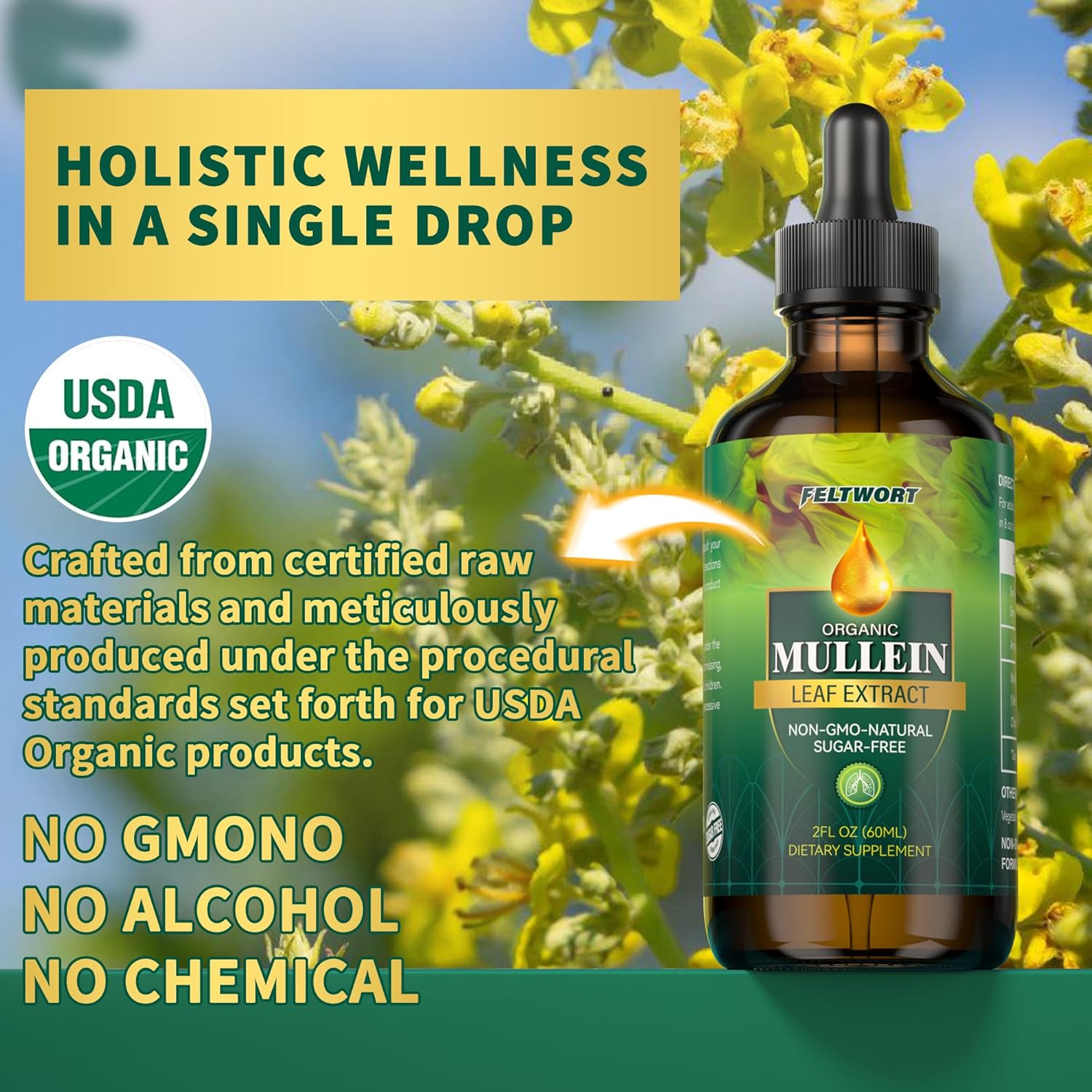 Feltwort Mullein Lung Cleanse Drops with Leaf Extract for Immune, Detox & Respiratory Support - Herbal Supplements - 2 Oz-6