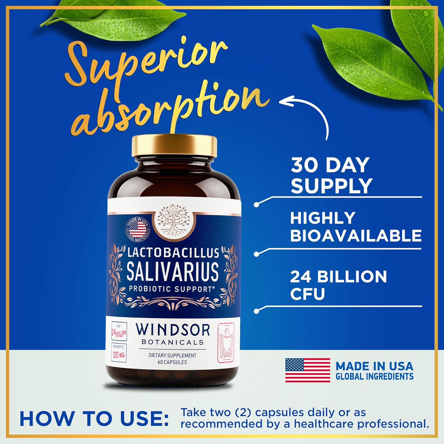 Female Health Support Bundle: Myo & D-Chiro Inositol, Lactobacillus Salivarius Probiotic - WINDSOR BOTANICALS