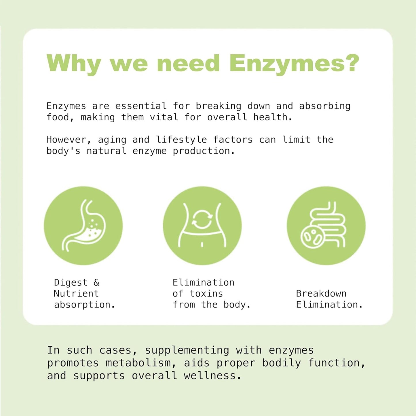 Fermented Enzyme Supplement Powder Sticks with Probiotics for Healthy Digestion & Immune Support, 30 Sticks