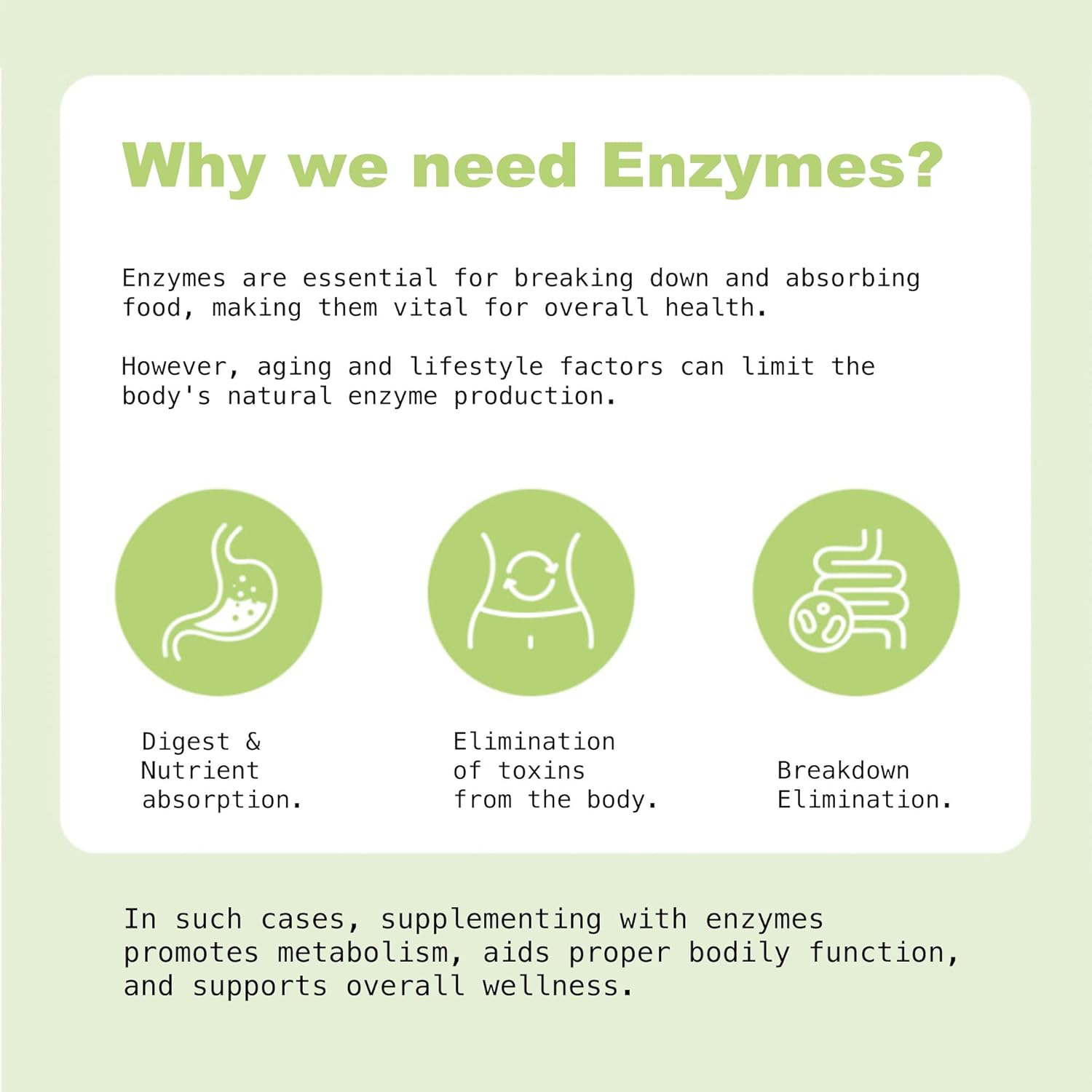 Fermented Enzyme Supplement Powder Sticks with Probiotics for Healthy Digestion & Immune Support, 30 Sticks