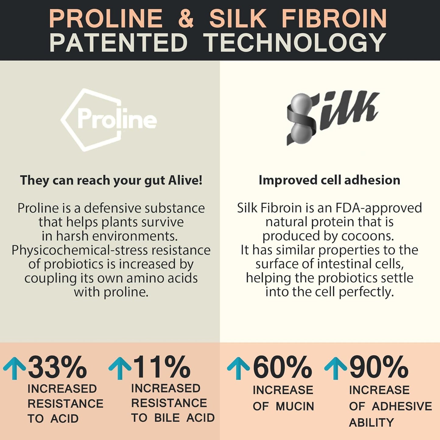 Fermented Korean Red Ginseng Synbiotic Powder Supplement for Energy, Stress Relief, and Mood Support - Prebiotics and Probiotics - 10 Count