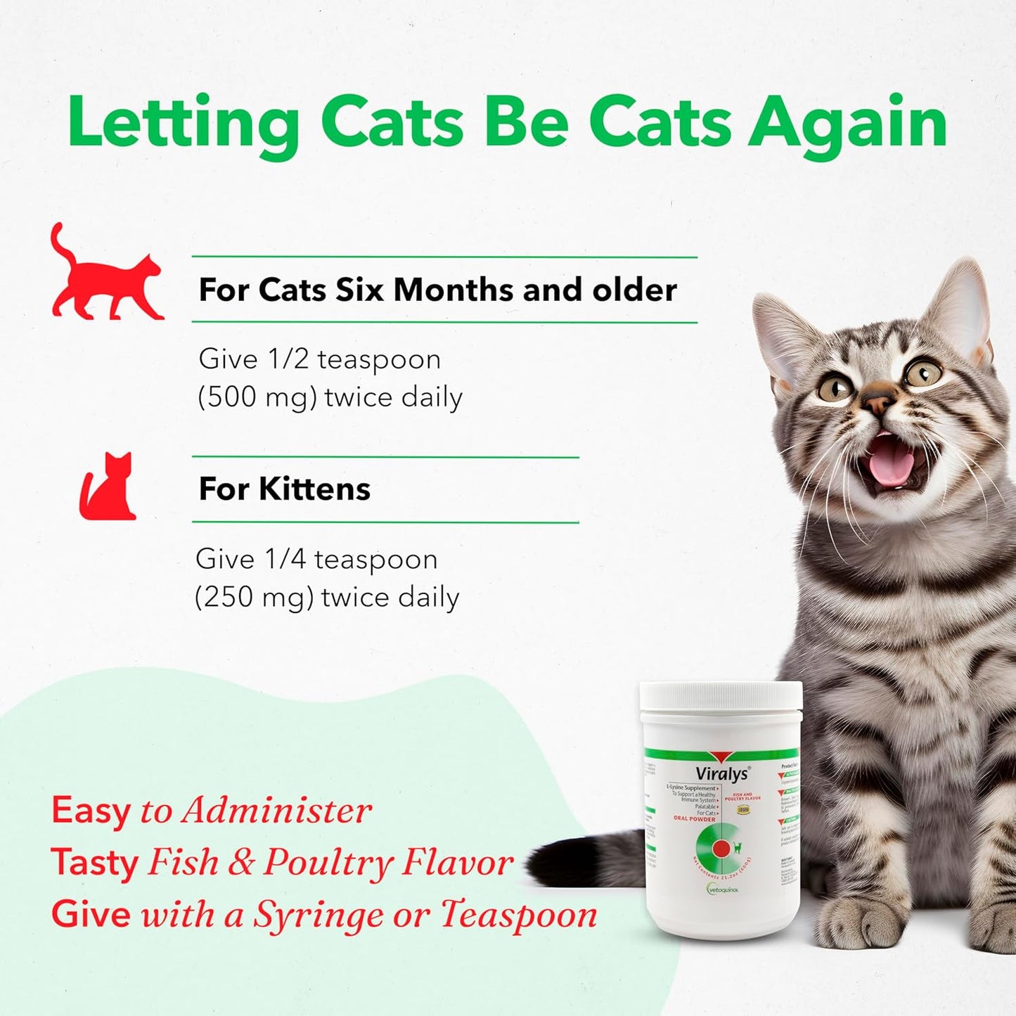 Fish Flavored Lysine Powder for Cats - Supports Immune, Eye, and Respiratory Health - 600gm - BoostGo Australia