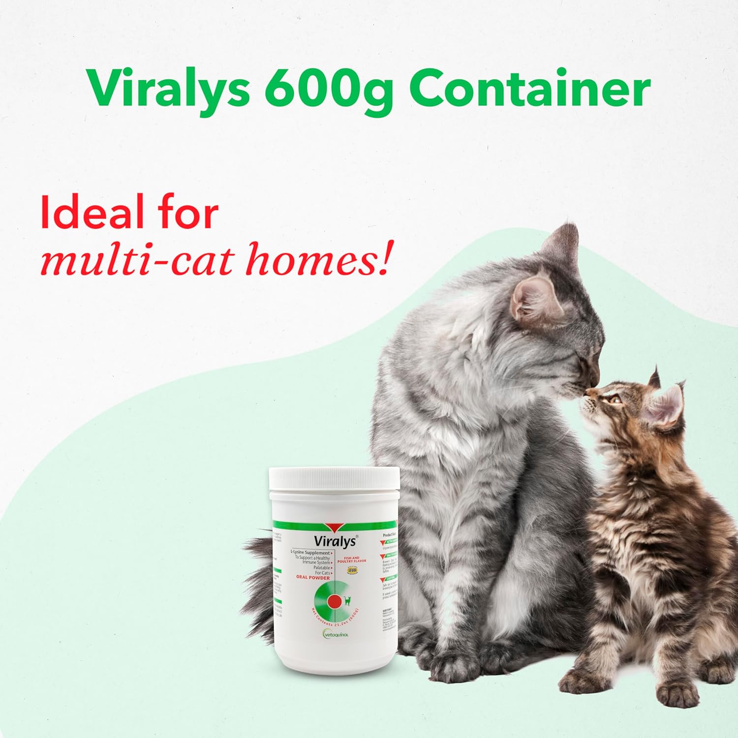 Fish Flavored Lysine Powder for Cats - Supports Immune, Eye, and Respiratory Health - 600gm - BoostGo Australia