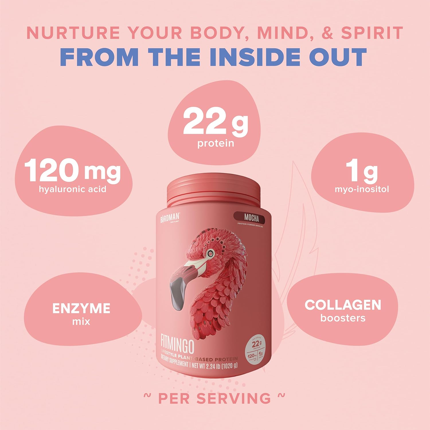 Fitmingo Mocha Vegan Protein Powder with Collagen Boosters and Vitamins - Low Carb, Dairy Free, 22g Plant Based Protein Powder with Myo-Inositol