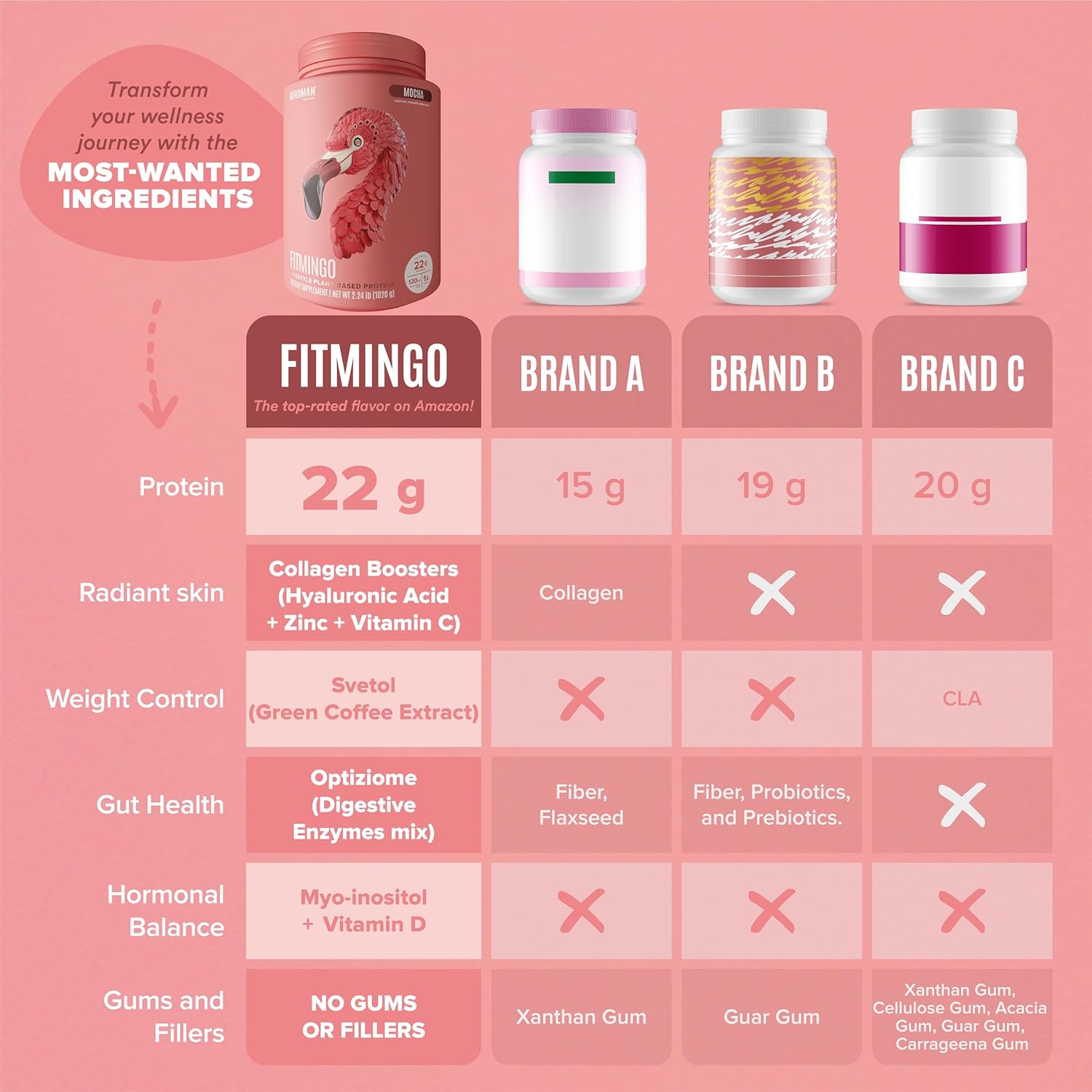 Fitmingo Mocha Vegan Protein Powder with Collagen Boosters and Vitamins - Low Carb, Dairy Free, 22g Plant Based Protein Powder with Myo-Inositol