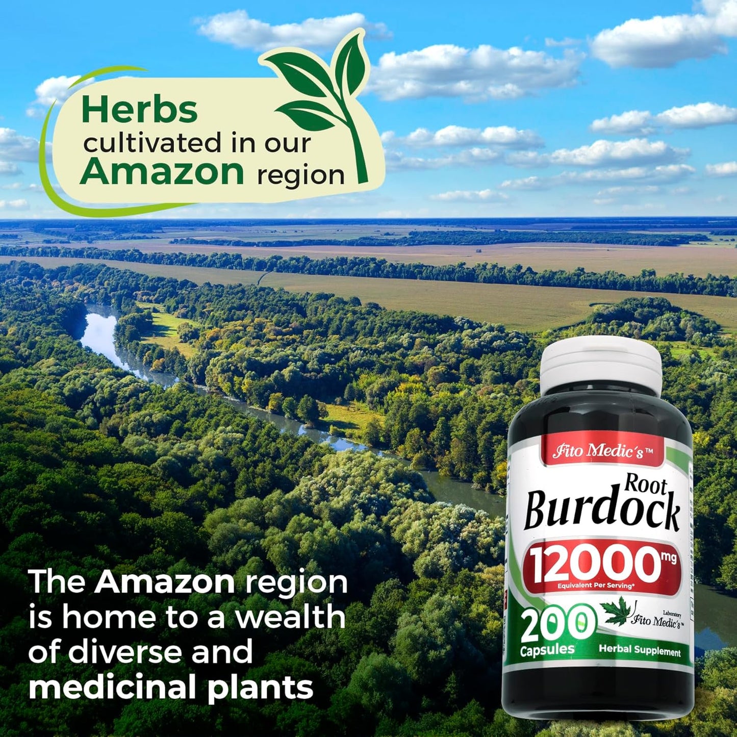 FITO MEDIC'S Lab Burdock Root Organic Capsules - 12000 mg - Ultra High Absorption - Natural Burdock Supplement