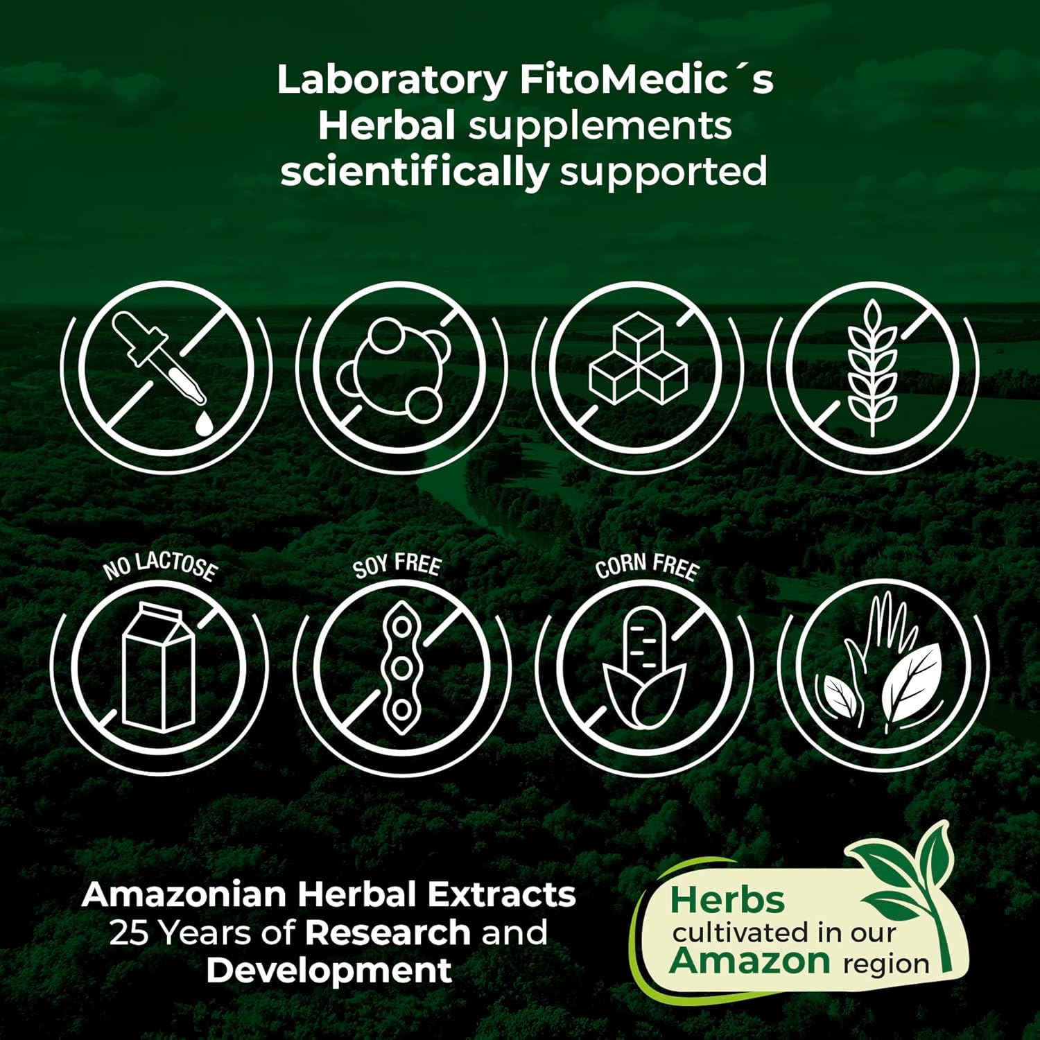 FITO MEDIC'S Lab Burdock Root Organic Capsules - 12000 mg - Ultra High Absorption - Natural Burdock Supplement