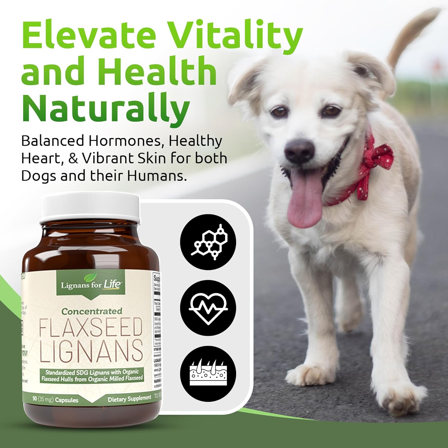 Flaxseed Lignans Capsules for Dogs and People - Omega 3, High Fiber Antioxidants - Shiny Coat and Heart Health - 35mg, 90 Capsules