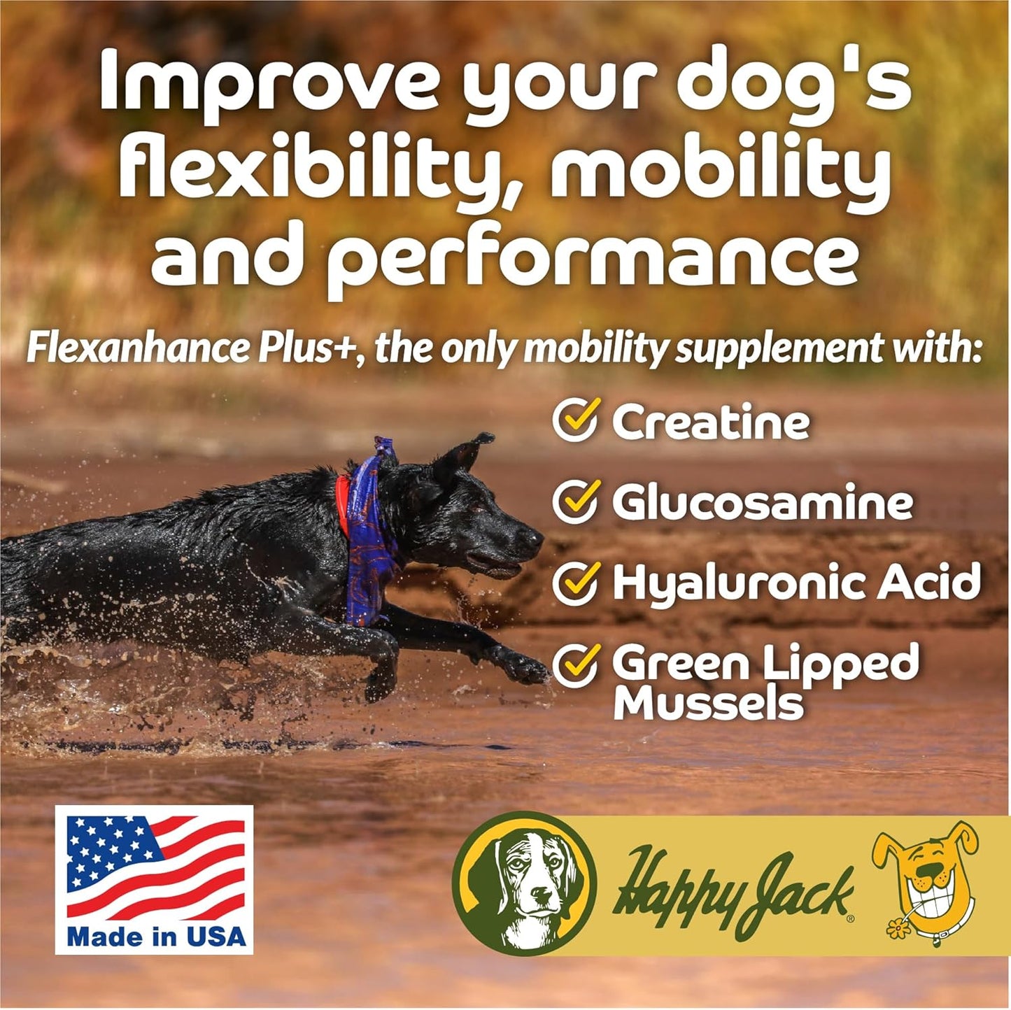Flexenhance Dog Hip and Joint Supplement with Skin & Coat Support - 80 Chewable Tabs, Improve Flexibility & Mobility - Glucosamine, Green Lipped Mussel, Fish Oil