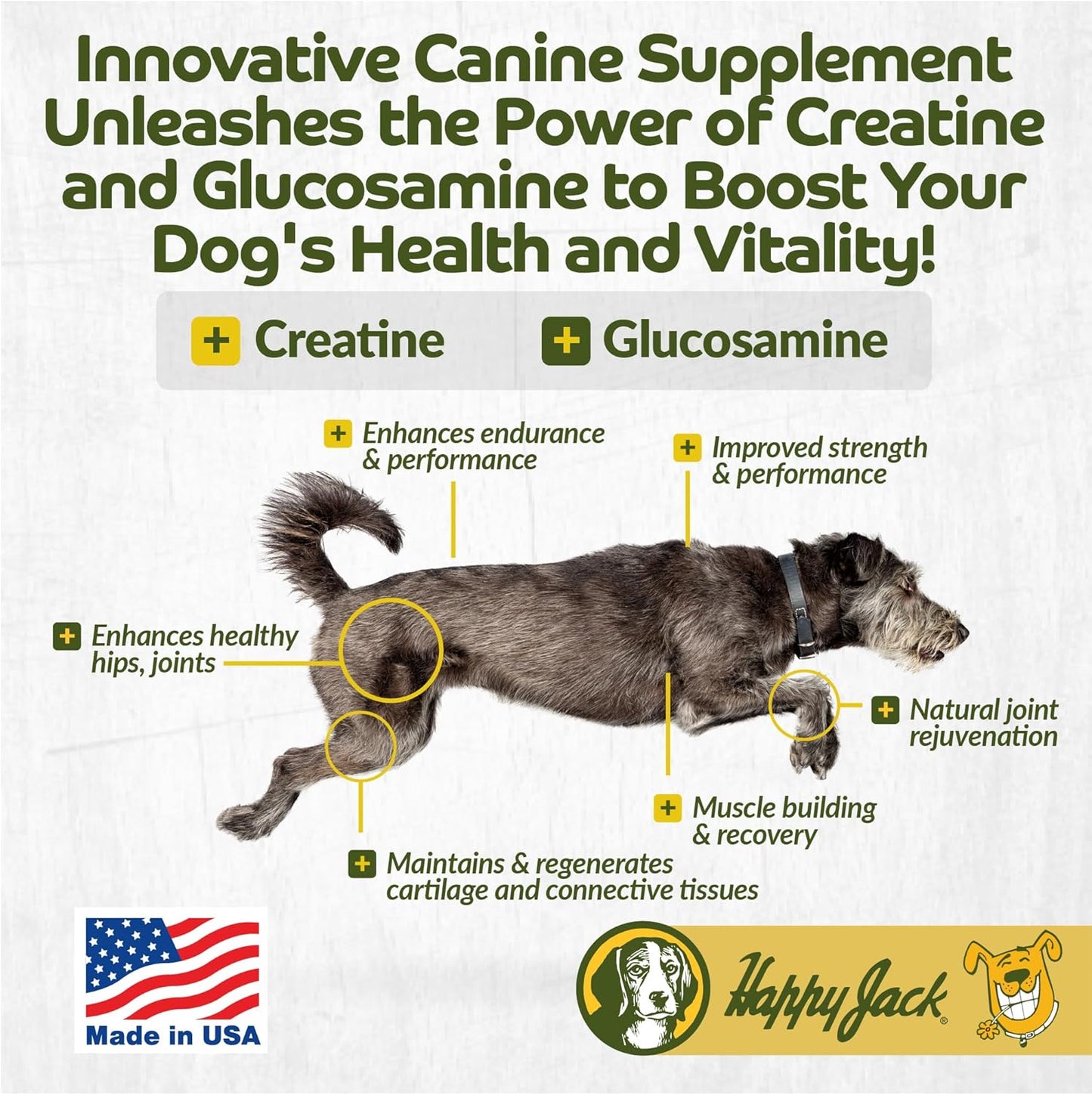 Flexenhance Dog Hip and Joint Supplement with Skin & Coat Support - 80 Chewable Tabs, Improve Flexibility & Mobility - Glucosamine, Green Lipped Mussel, Fish Oil