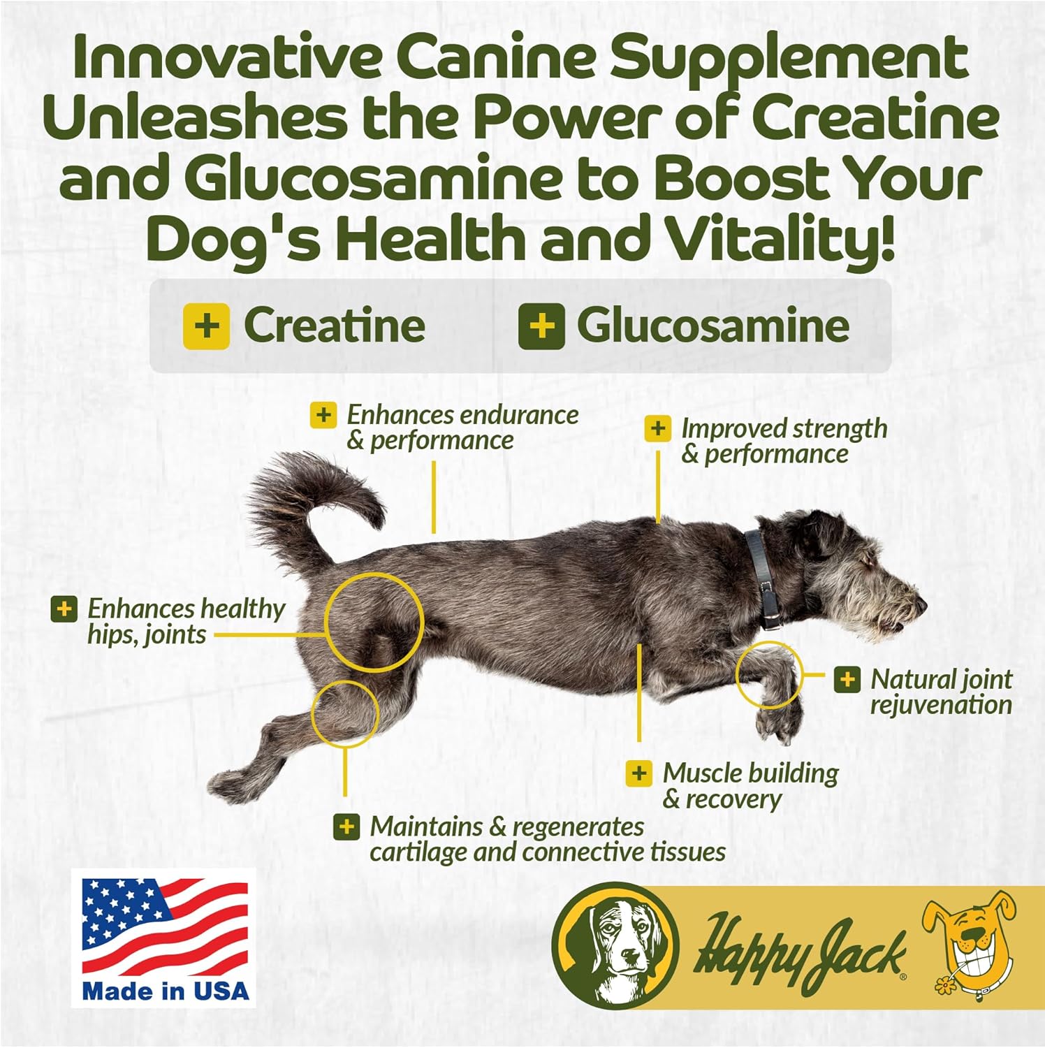 Flexenhance Dog Hip and Joint Supplement with Skin & Coat Support - 80 Chewable Tabs, Improve Flexibility & Mobility - Glucosamine, Green Lipped Mussel, Fish Oil