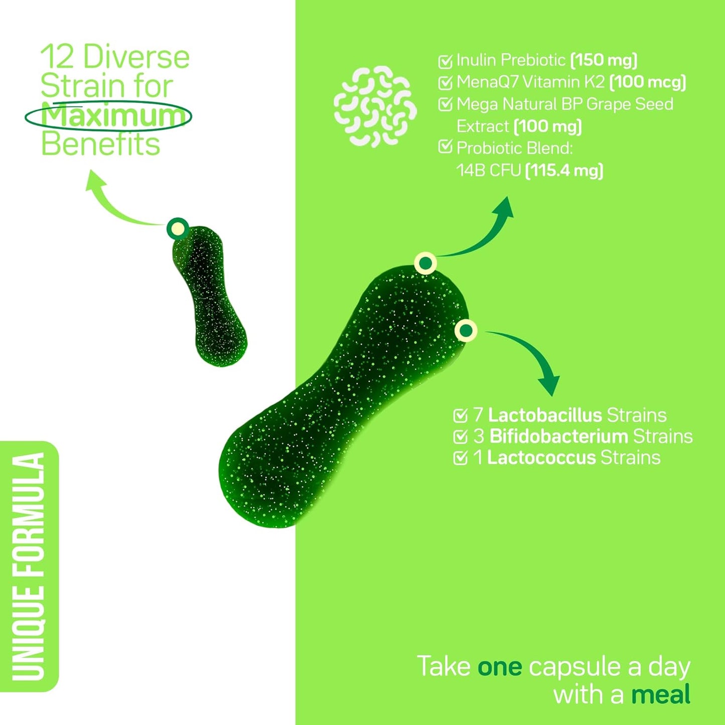 Florakare Seniors Premium All In One Supplement for Bone Health, Blood Flow, Digestive Support - Vitamin K2, Grape Seed Extract, Probiotics - 30 Day Supply