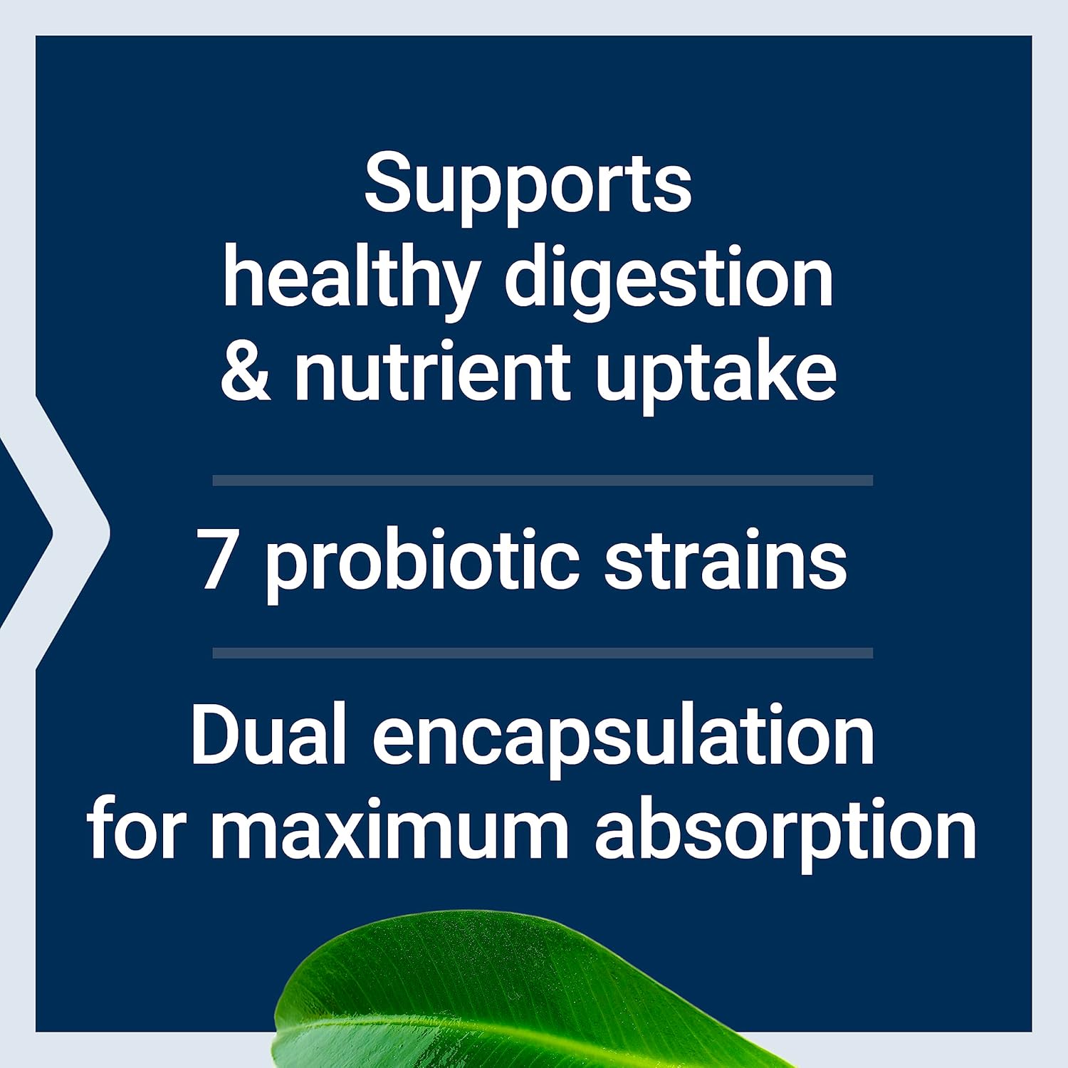FLORASSIST GI with Phage Technology: Probiotic Support for Digestive Health, Nutrient Absorption - 90 Liquid Vegetarian Capsules