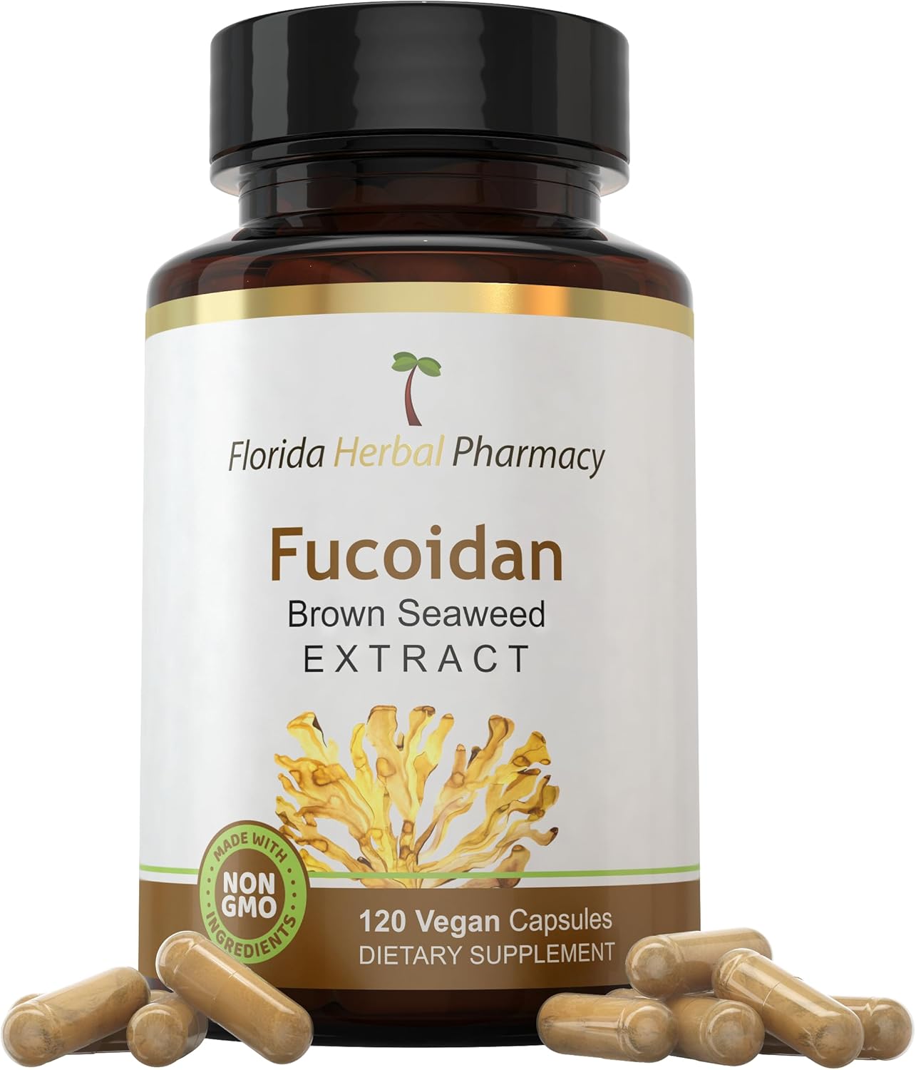 Florida Herbal Pharmacy Fucoidan Extract Capsules - 10:1 Concentration (120 Capsules, 500mg) - High Potency Formula for Immune Support