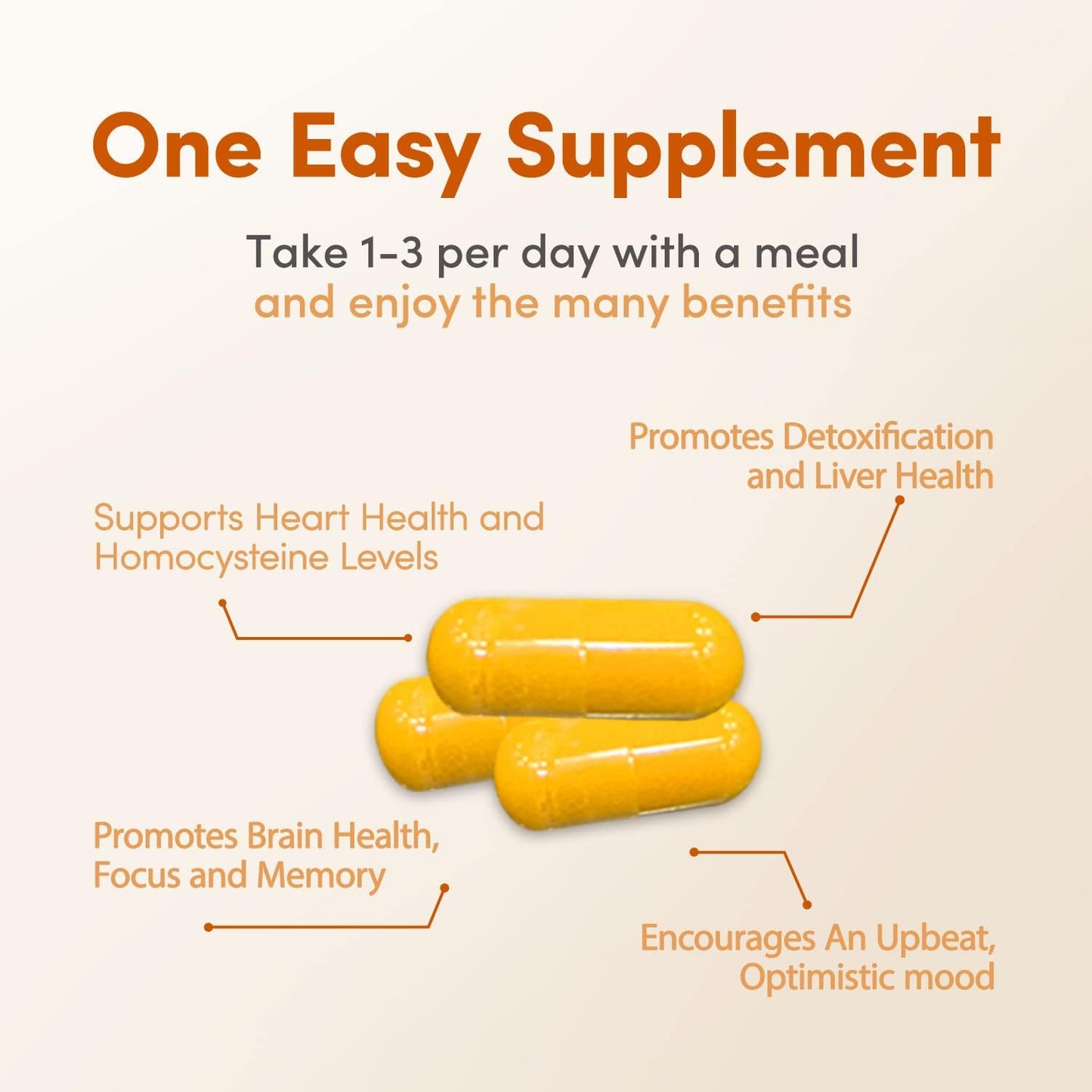 Florida Methyl Factors + Capsules - B Vitamins & Folate for Heart, Liver & Brain Function - Energizing Mood Boost