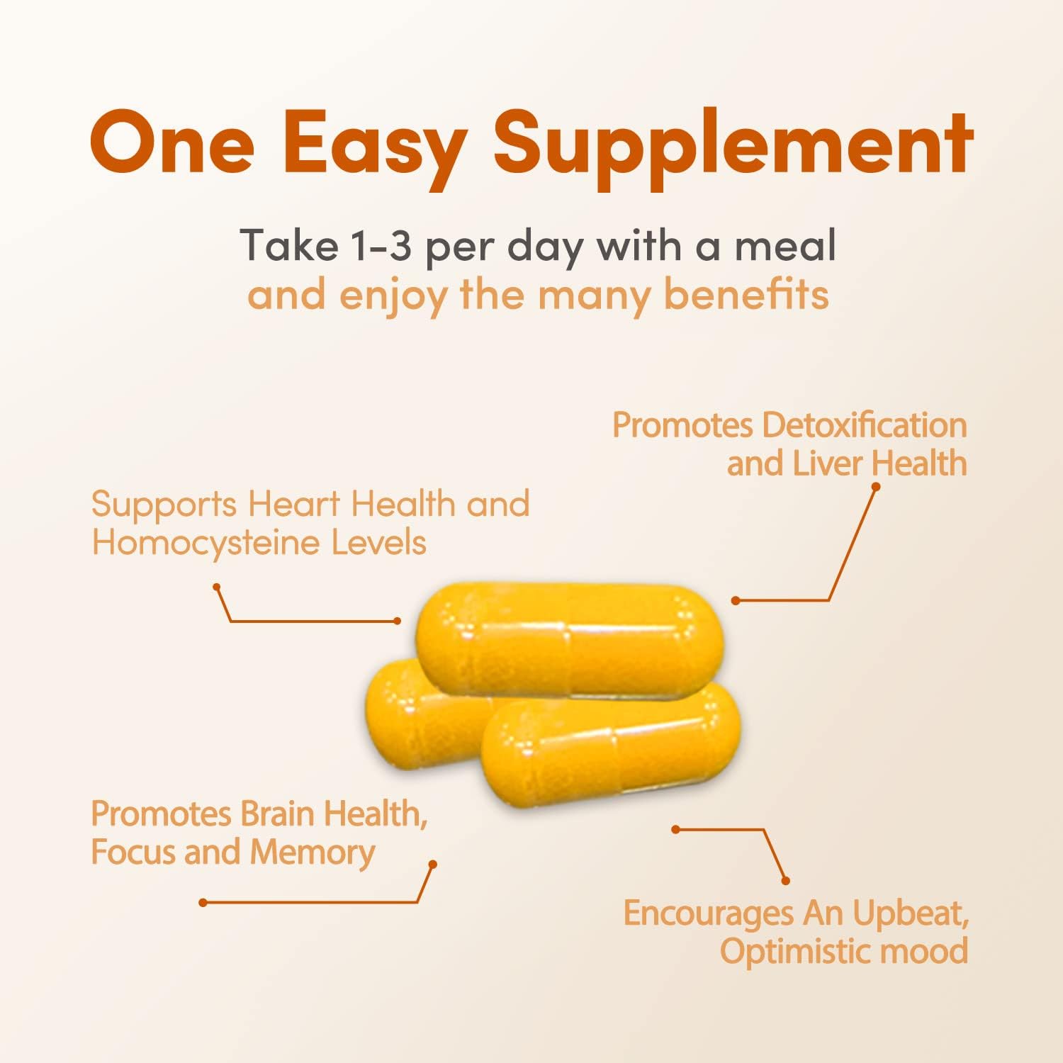 Florida Methyl Factors + Capsules - B Vitamins & Folate for Heart, Liver & Brain Function - Energizing Mood Boost