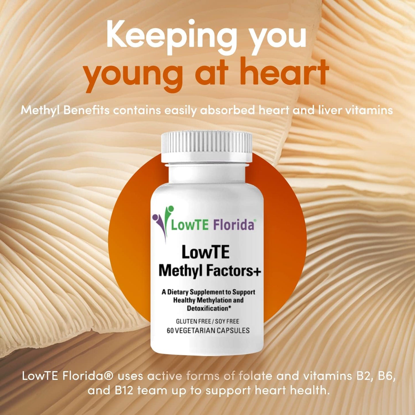 Florida Methyl Factors + Capsules - B Vitamins & Folate for Heart, Liver & Brain Function - Energizing Mood Boost