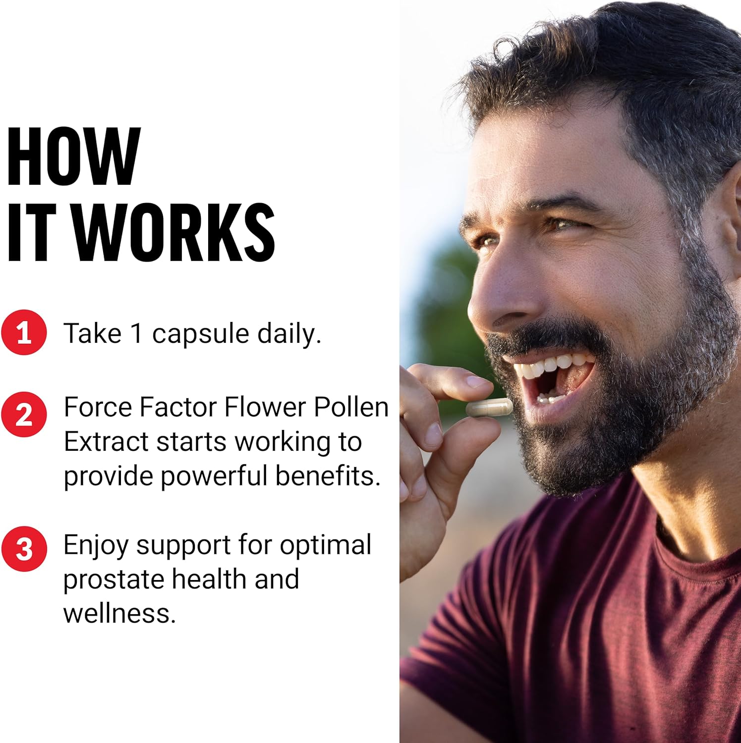 Flower Pollen Prostate Support Supplement for Men - 500mg Capsules, Vegan & Non-GMO - 60 Capsules