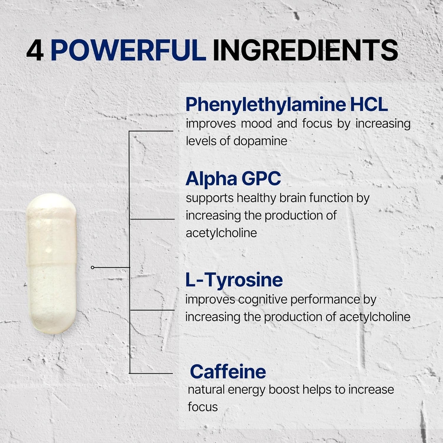 Focus & Clarity Brain Support Capsules for Cognitive Function & Memory Boost with Phenylethylamine HCL, Alpha GPC, L-Tyrosine