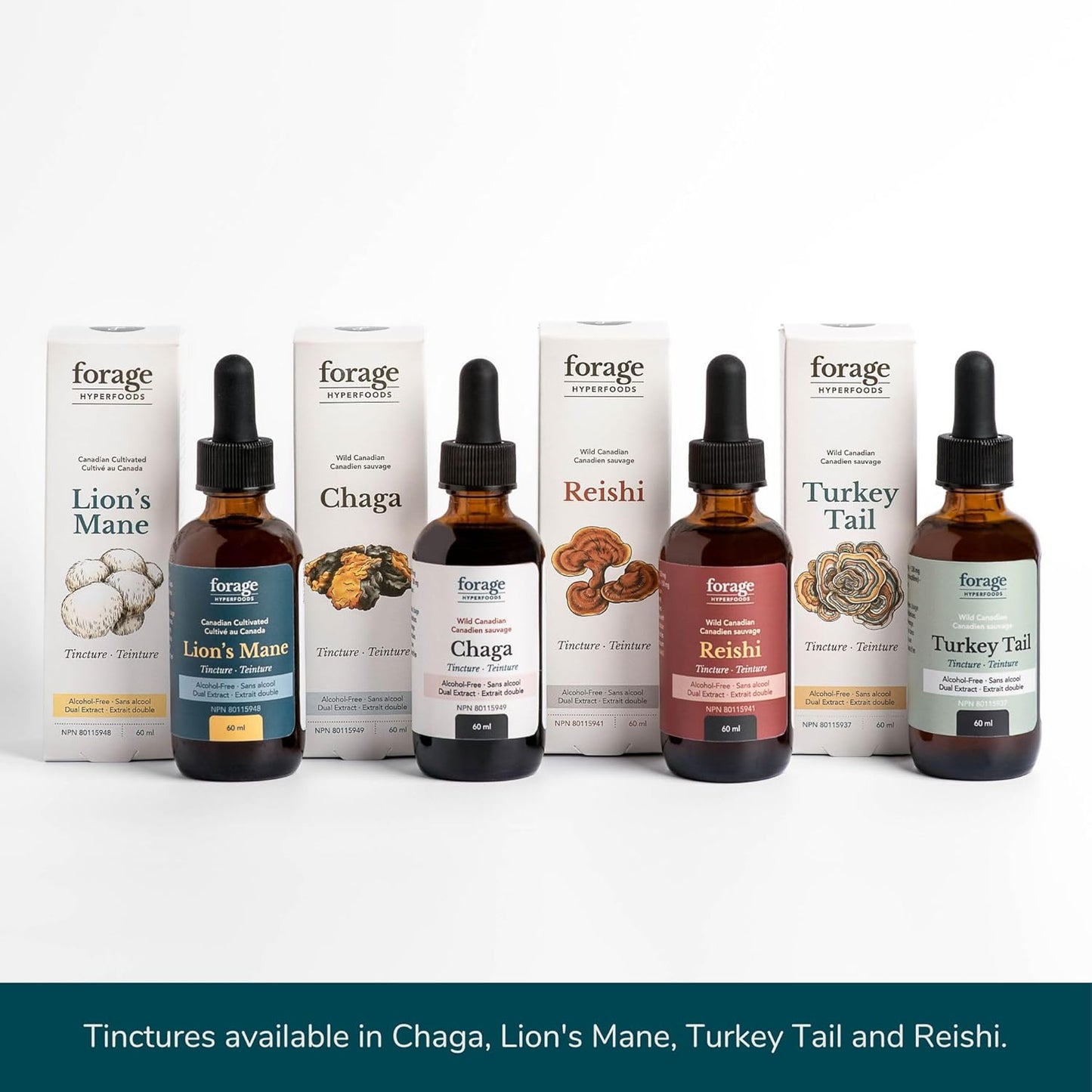 Forage Hyperfoods Reishi Mushroom Tincture - Immune Support & Stress Relief - Dual Extract, Alcohol-Free - 60 ml