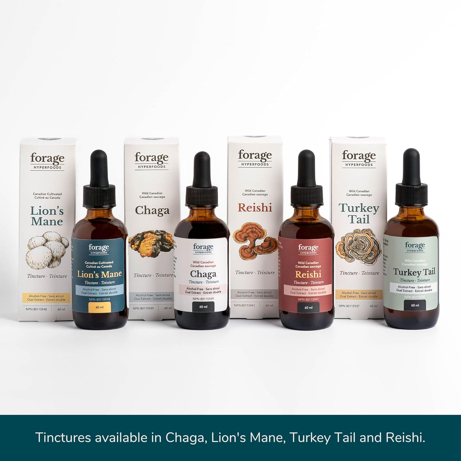 Forage Hyperfoods Reishi Mushroom Tincture - Immune Support & Stress Relief - Dual Extract, Alcohol-Free - 60 ml