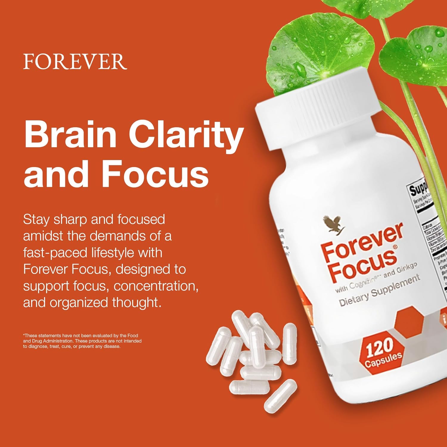 Forever Living Forever Focus Capsules - Enhance Brain Clarity and Focus with Cognizin, Bacopa, and Vitamins - Ideal for Students, Professionals, and Seniors - 120 Count