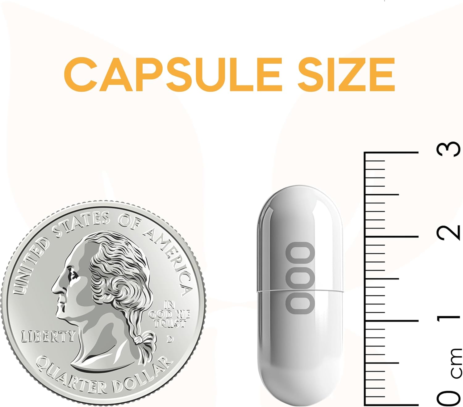 FORMA NUTRITION Advanced CN3RGY Supplement - Boost Energy with L-Leucine, L-Carnitine, and Creatine - 120 Capsules, 1000mg Leucine, 400mg Carnitine, 400mg Creatine HCl.