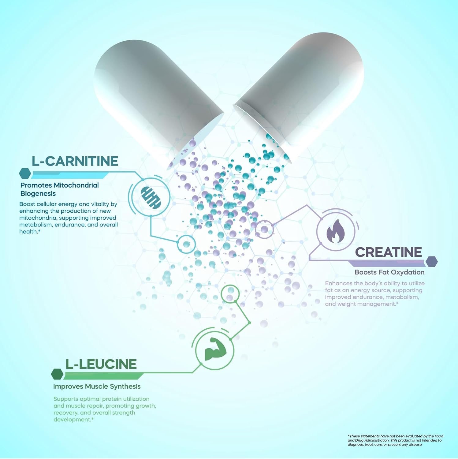 FORMA NUTRITION Advanced CN3RGY Supplement - Boost Energy with L-Leucine, L-Carnitine, and Creatine - 120 Capsules, 1000mg Leucine, 400mg Carnitine, 400mg Creatine HCl.