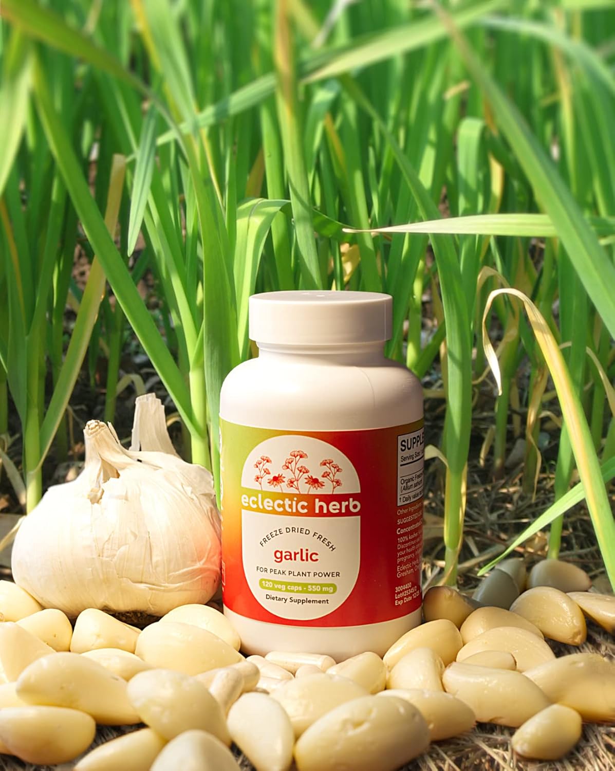 Freeze-Dried Non-GMO Garlic Capsules for Overall Health & Immune Support - 120 CT by Eclectic Institute