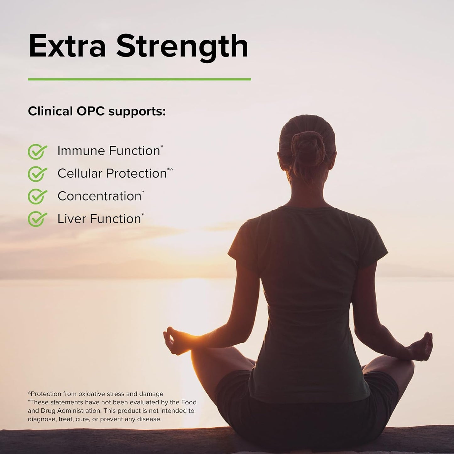 French Grape Extract Supplement - Terry Naturally Clinical OPC ES 400 mg - 90 Softgels - High-Quality Antioxidant Support