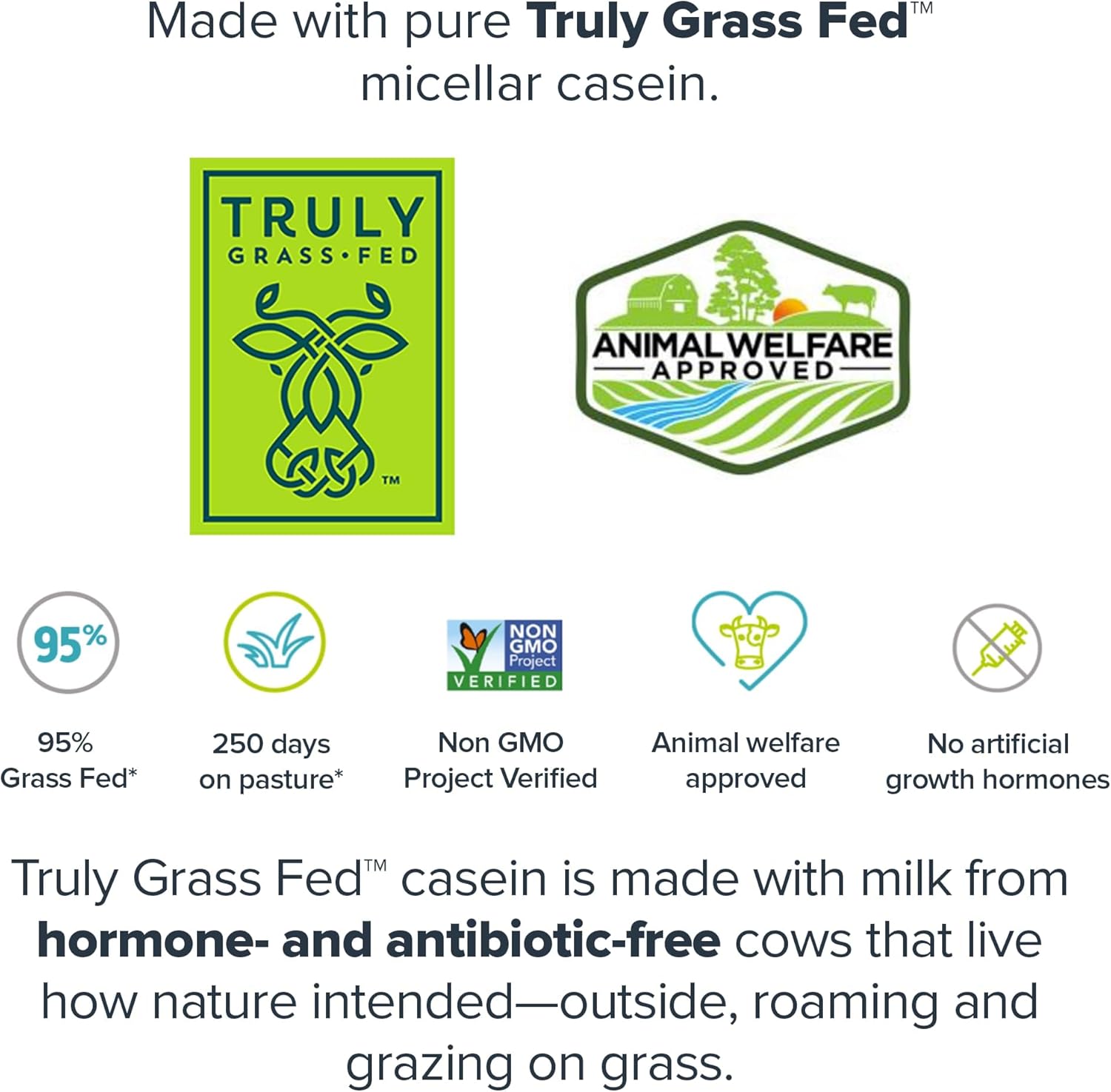 French Vanilla Casein Protein Powder - Slow-Release Micellar Casein from Grass-Fed Cows - Non-GMO & Gluten-Free (30 Servings)