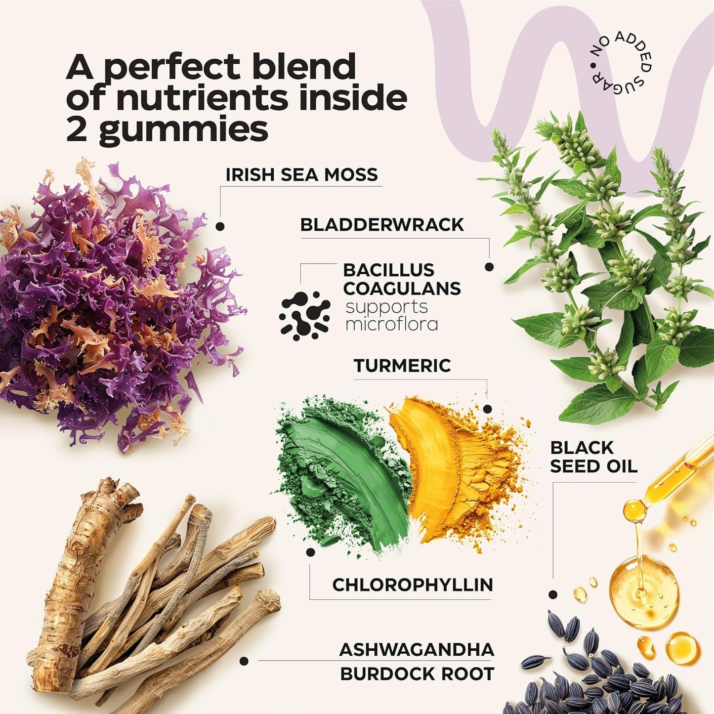 Fruit Greens and Sea Moss Gummies Bundle - Detox and Immunity Support for Men and Women