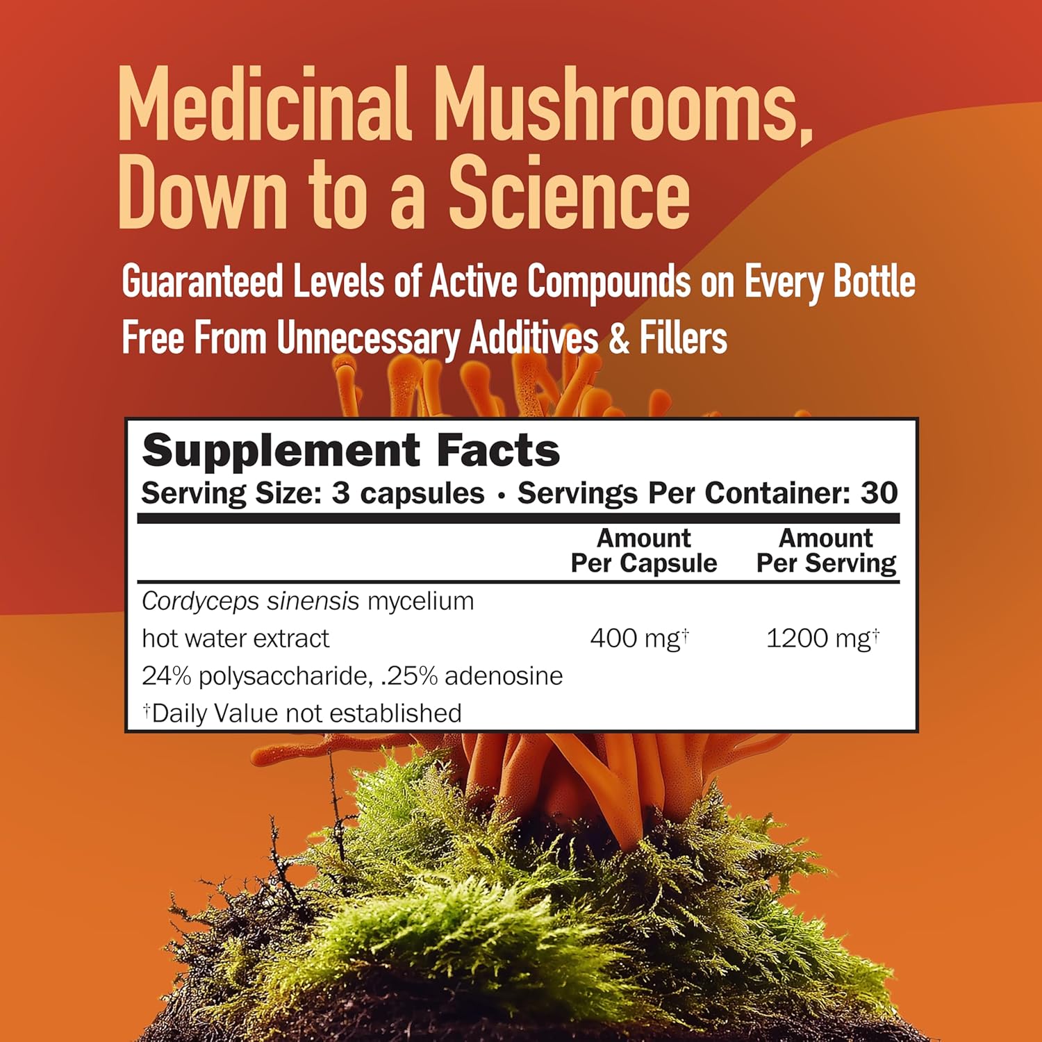 Full Spectrum Reishi and Cordyceps Capsules for Immune Support - 90 CT, 400MG Each