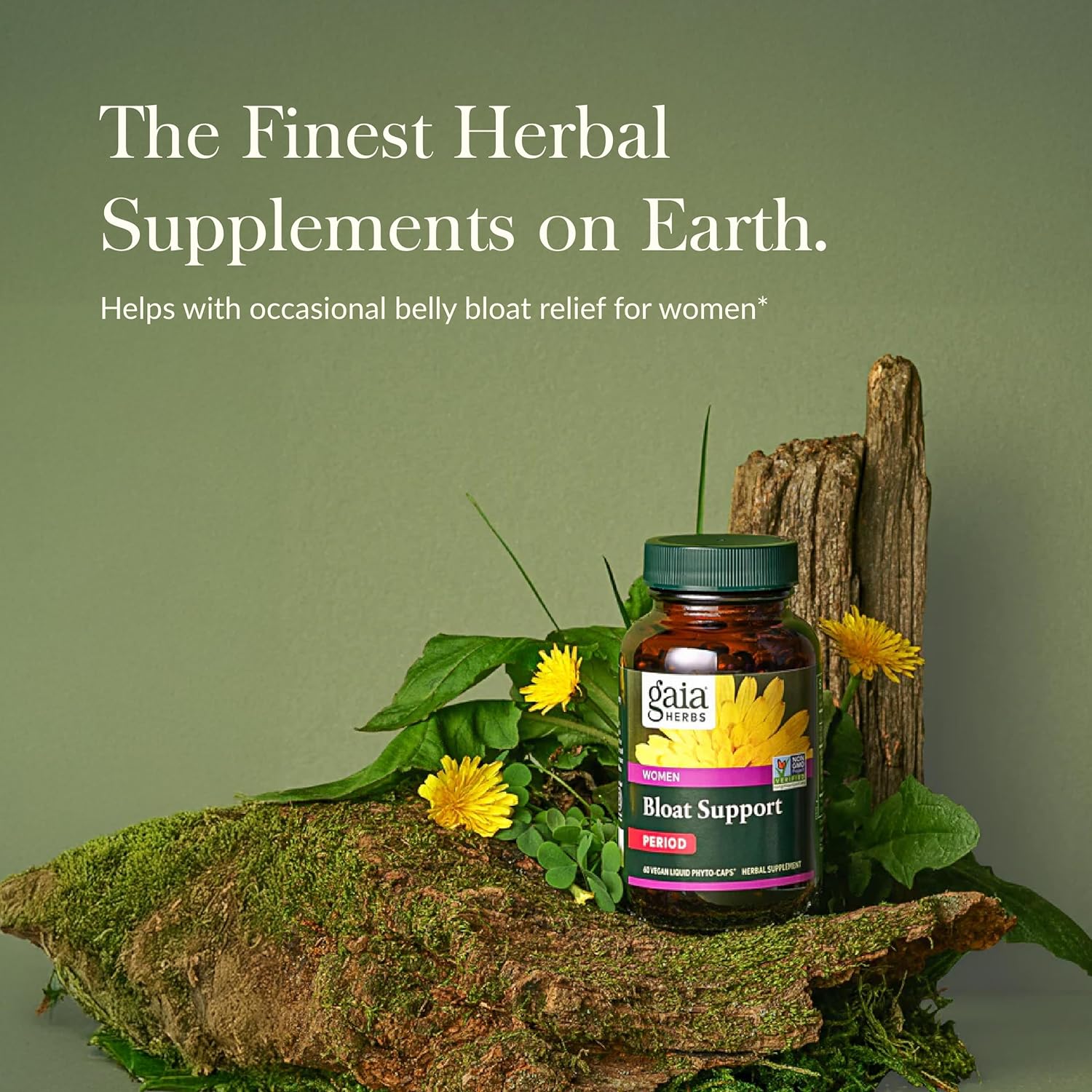 Gaia Herbs Bloat Support Capsules - Women's Digestive Health Supplement with Dandelion Leaf, Burdock Root, Horsetail - 60 Vegan Capsules