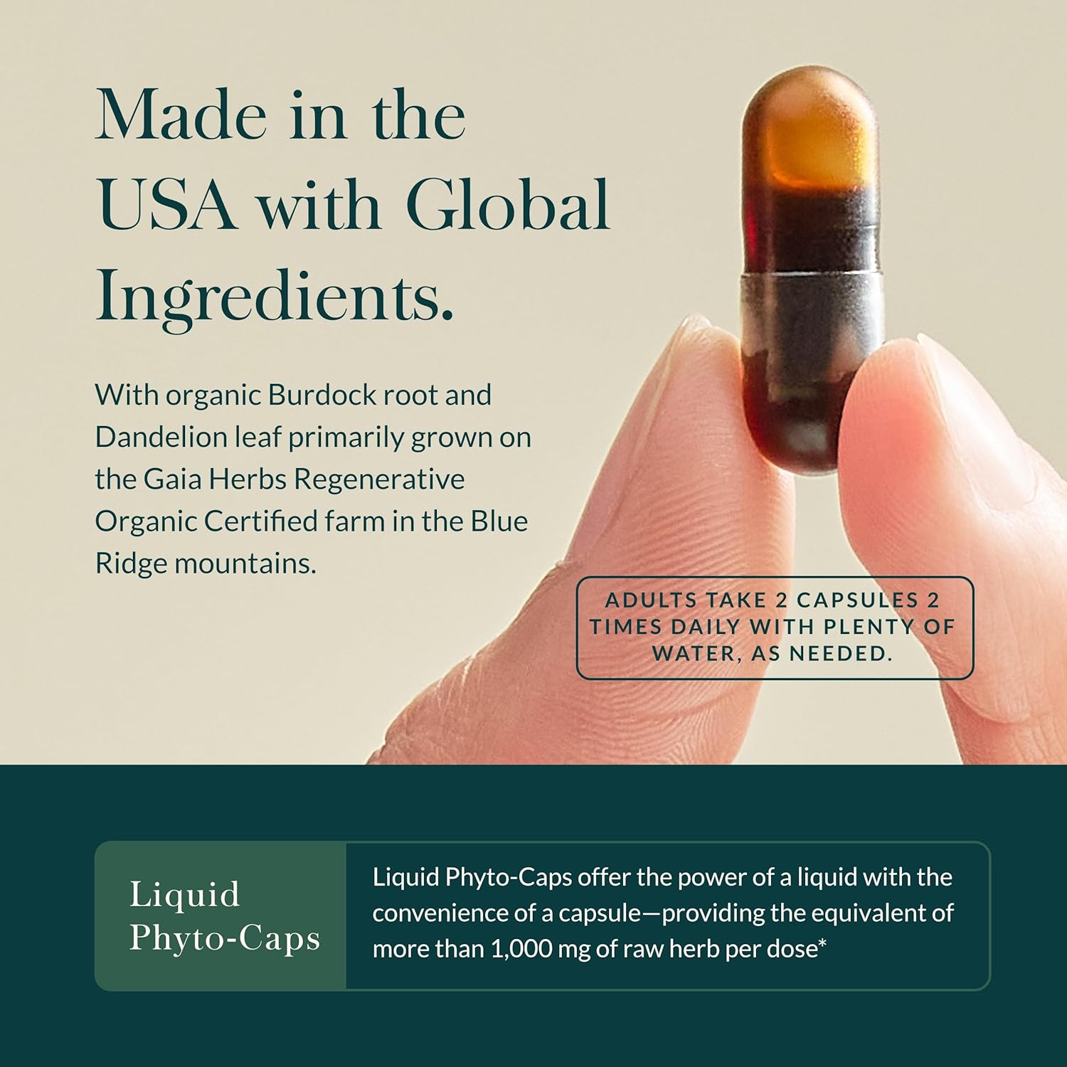 Gaia Herbs Bloat Support Capsules - Women's Digestive Health Supplement with Dandelion Leaf, Burdock Root, Horsetail - 60 Vegan Capsules