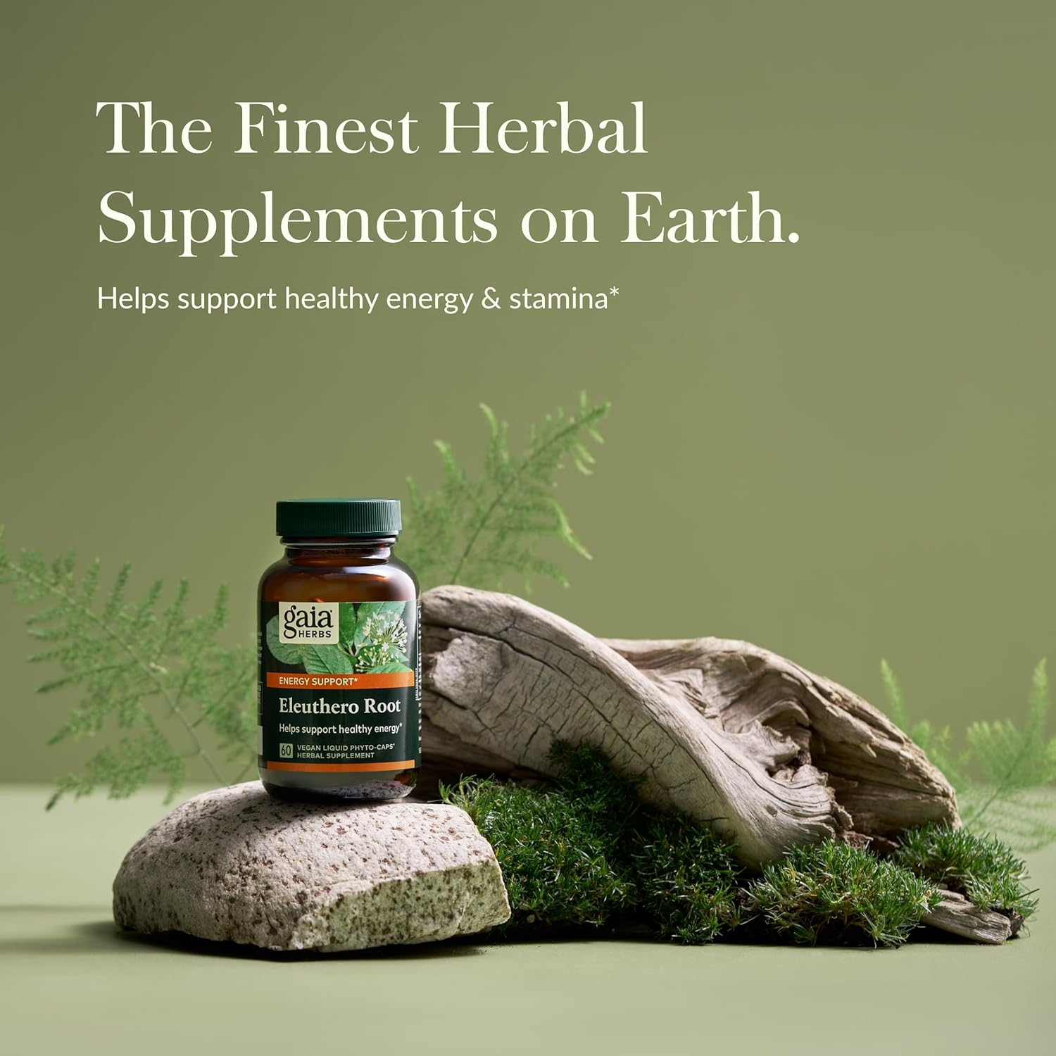 Gaia Herbs Eleuthero Root Capsules - Natural Energy & Stamina Support - Vegan Adaptogen Supplement for Mental Endurance - 60 Liquid Phyto-Caps