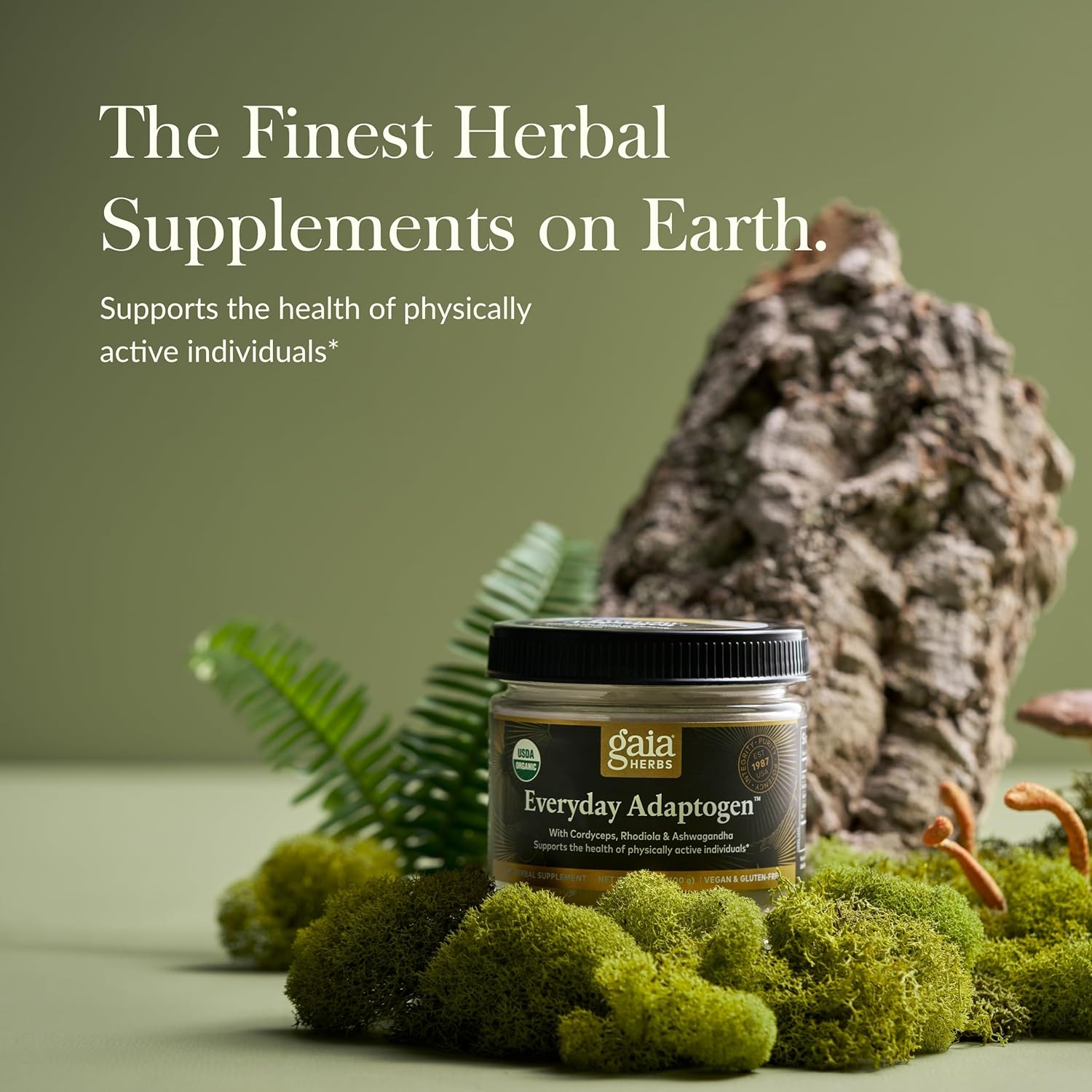 Gaia Herbs Everyday Adaptogen Powder with Maca Root, Cordyceps, & Ashwagandha - Supports Energy & Stress Levels - 3.5 Oz (38-Day Supply)