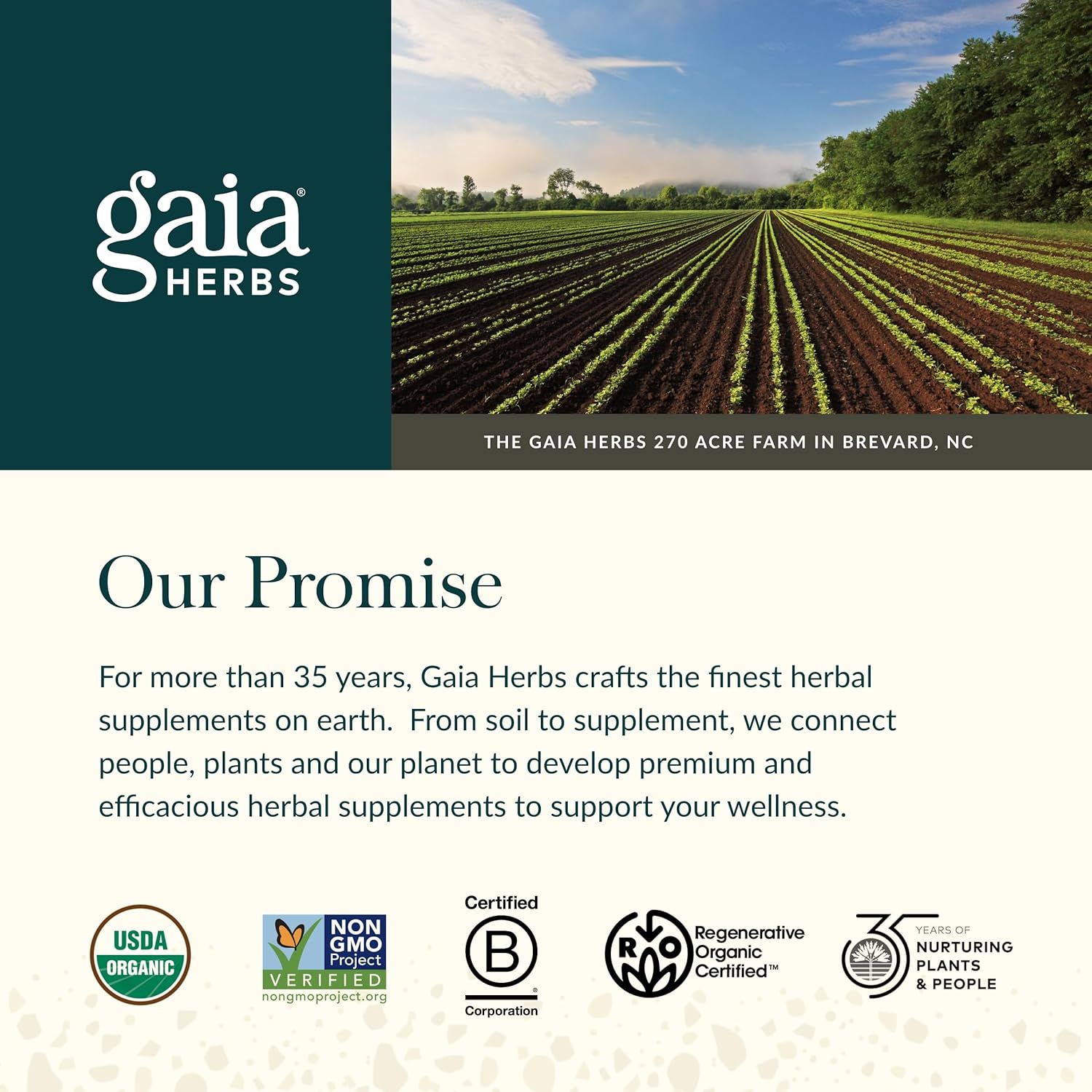 Gaia Herbs Gut Revival: Herbal Digestive Supplement for Gut Health - Astragalus, Gotu Kola, Jujube - Dairy, Soy, Gluten-Free - 60 Vegan Capsules
