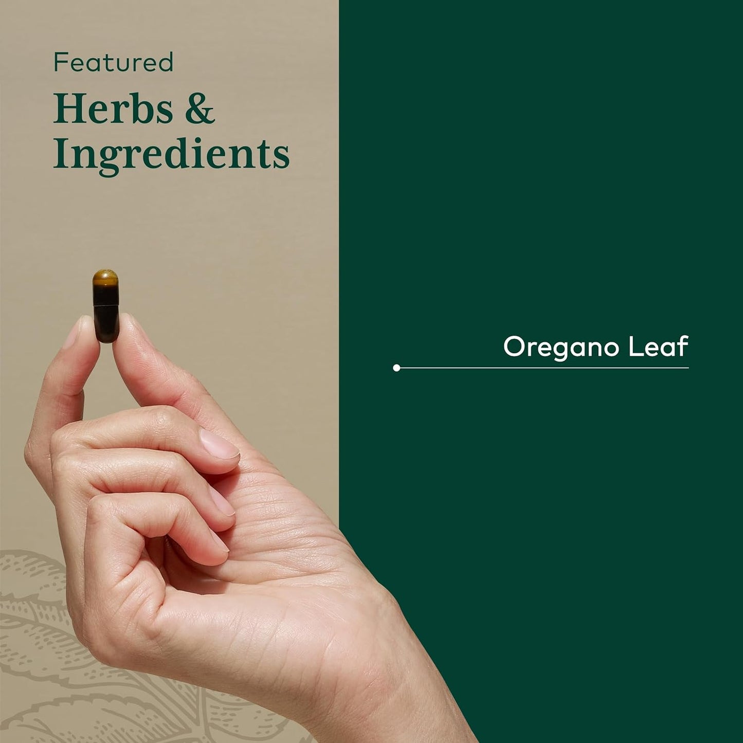 Gaia Herbs Oil of Oregano Capsules - 60 Liquid Vcaps for Immune Support and Overall Wellness