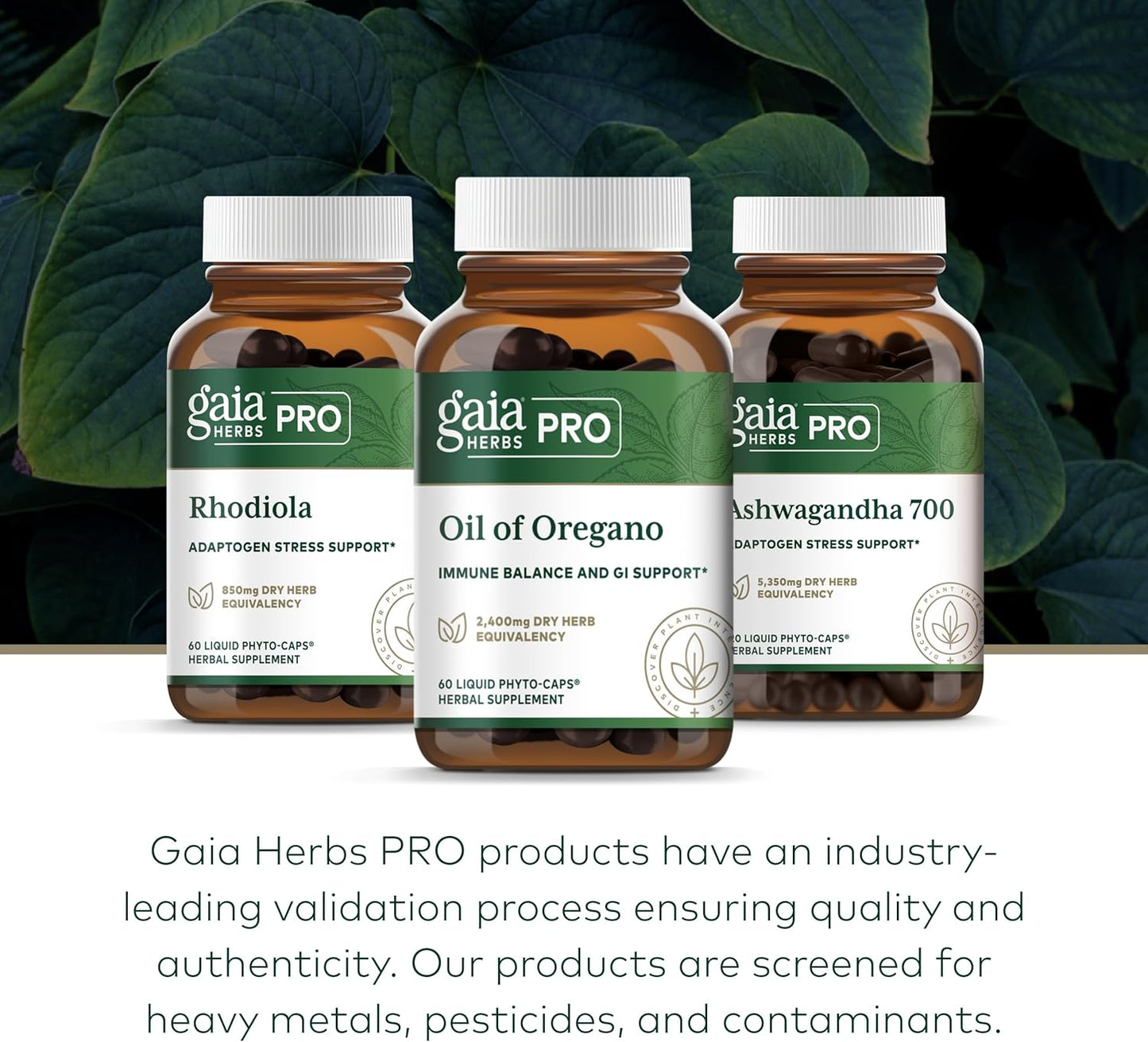 Gaia Herbs Oil of Oregano Capsules - 60 Liquid Vcaps for Immune Support and Overall Wellness