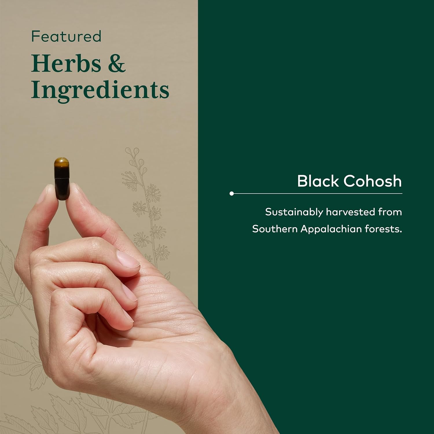 Gaia Herbs Pro Black Cohosh Liquid Capsules - Menopause Support Supplement - Hormone Balance for Women - 60 Vegan Capsules