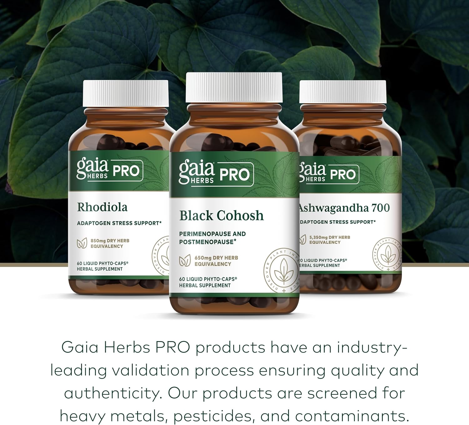 Gaia Herbs Pro Black Cohosh Liquid Capsules - Menopause Support Supplement - Hormone Balance for Women - 60 Vegan Capsules
