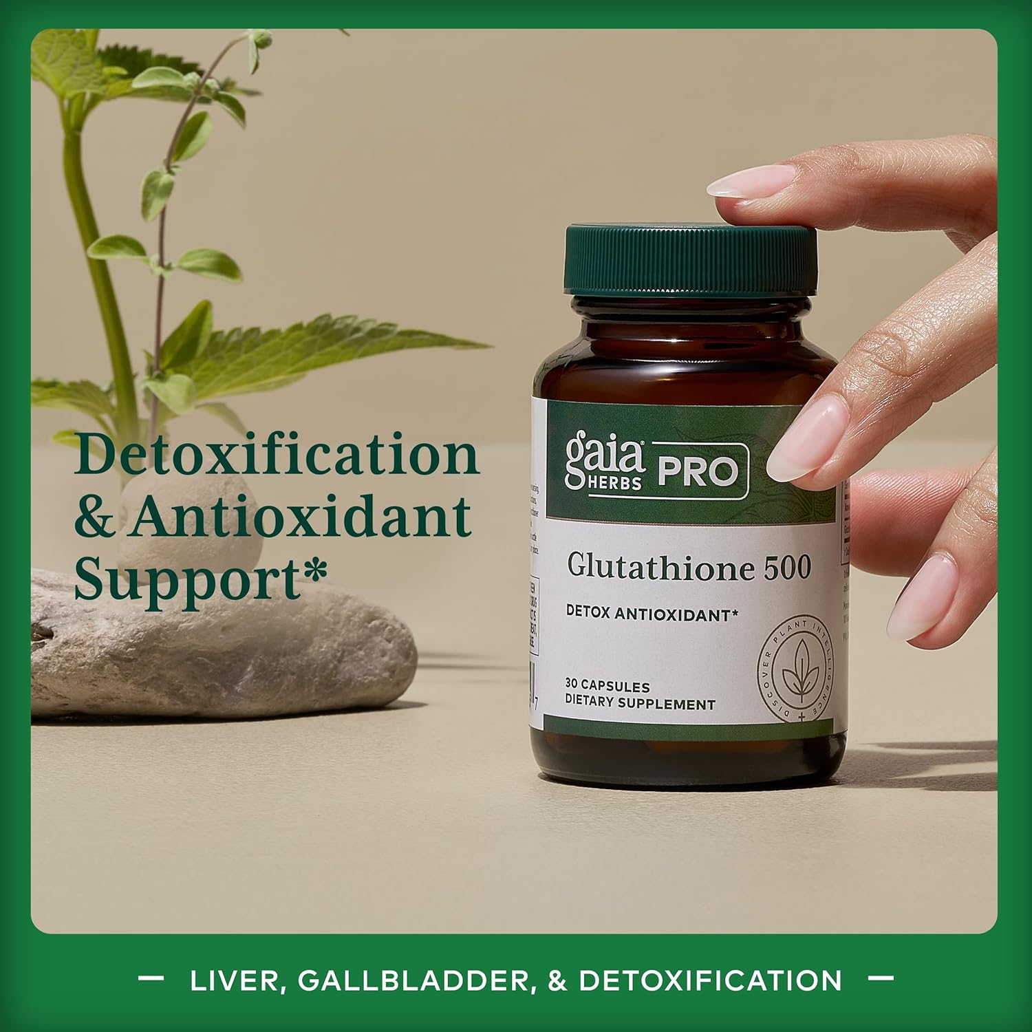 Gaia Herbs Pro Glutathione 500 - Antioxidant Support Supplement - 30 Capsules