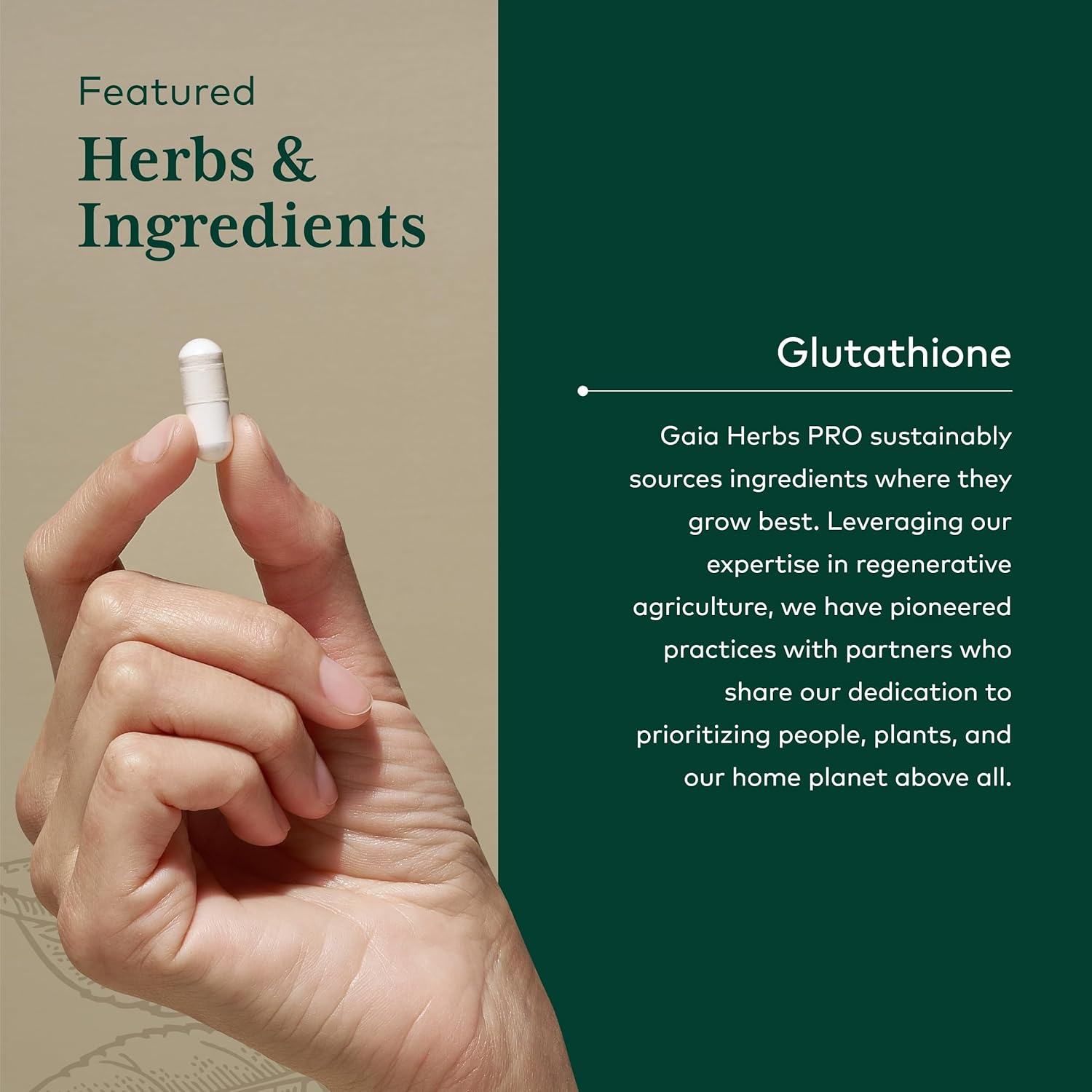 Gaia Herbs Pro Glutathione 500 - Antioxidant Support Supplement - 30 Capsules