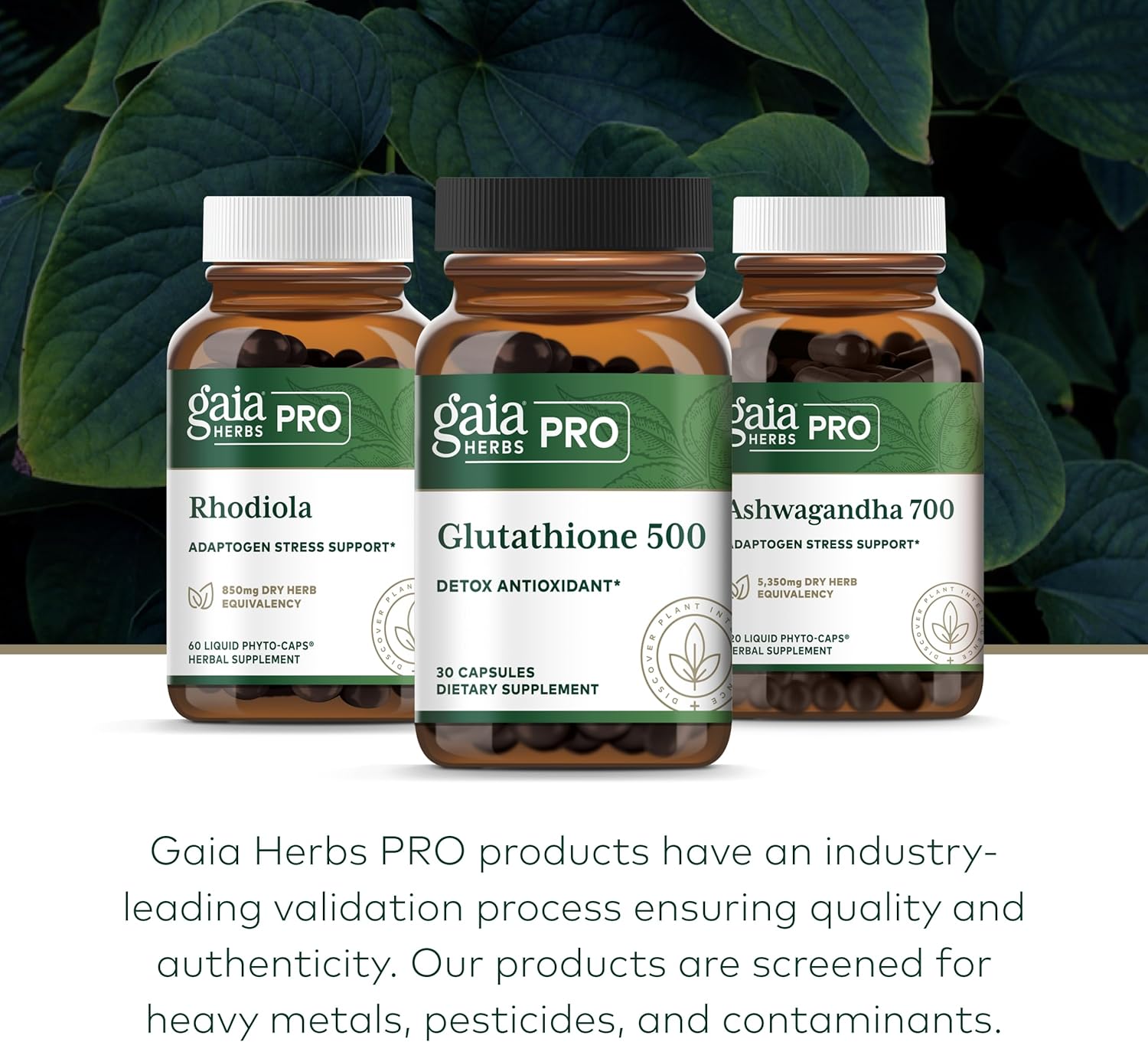 Gaia Herbs Pro Glutathione 500 - Antioxidant Support Supplement - 30 Capsules