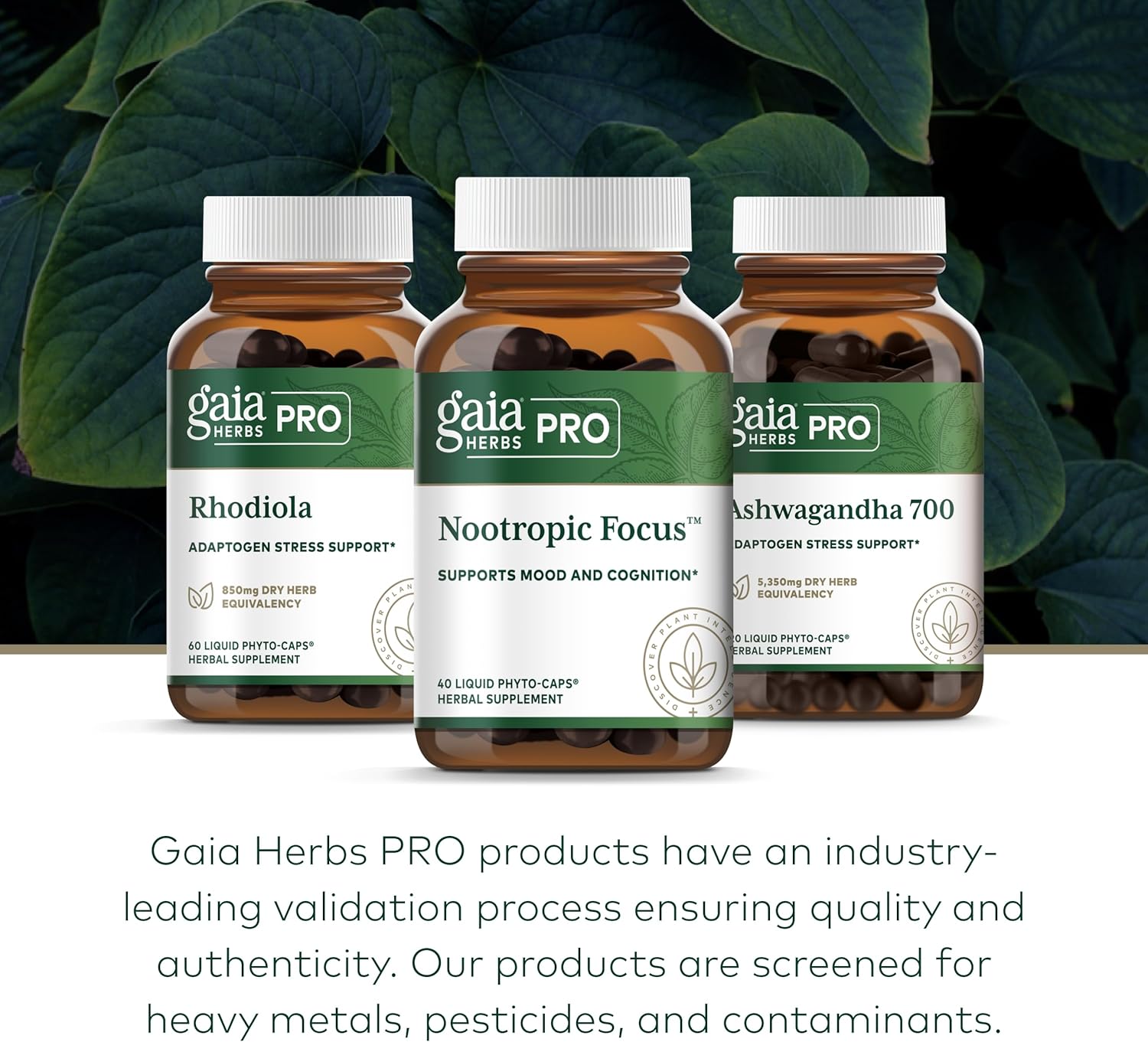 Gaia Herbs Pro Nootropic Focus Supplement with Saffron, Ginkgo Biloba, Spearmint, Lemon Balm Extract - 40 Vegan Capsules