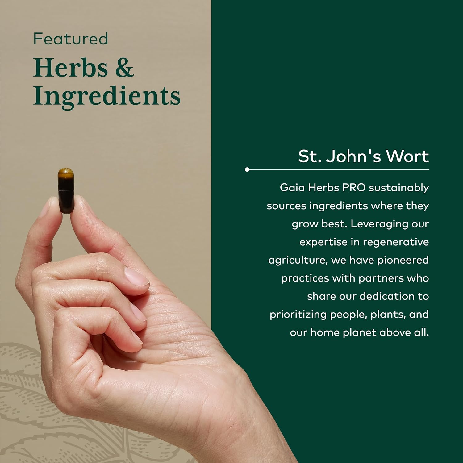 Gaia Herbs PRO St. John's Wort Supplement for Mood Support