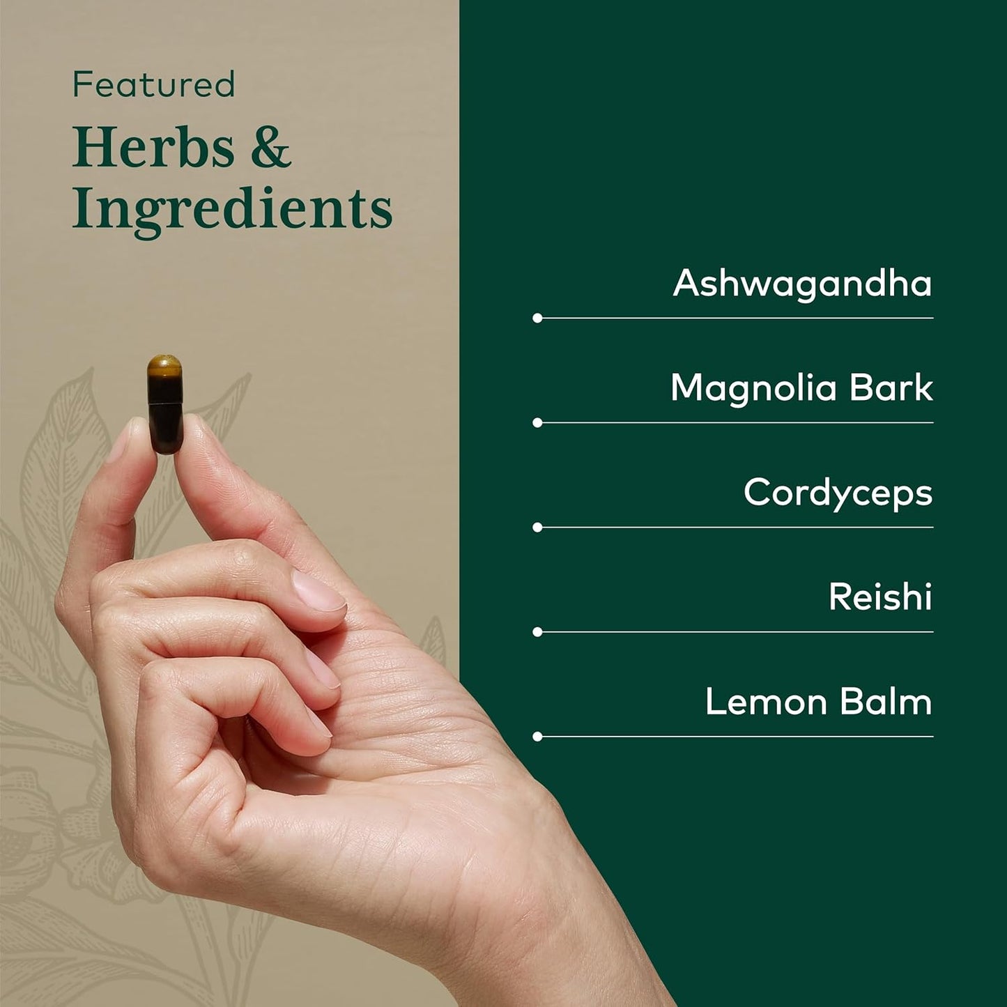 Gaia Herbs Professional Solutions HPA Axis Liquid Capsules for Sleep Cycle - 120 Count